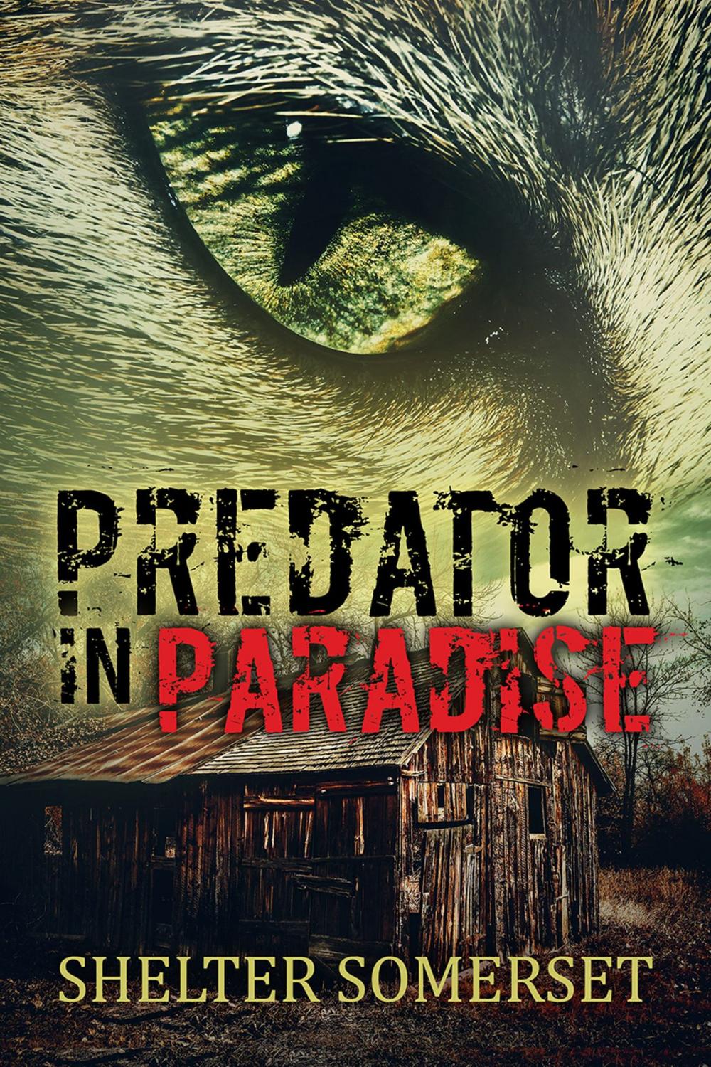 Big bigCover of Predator in Paradise