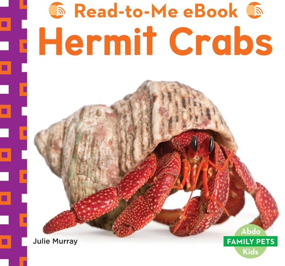 Big bigCover of Hermit Crabs