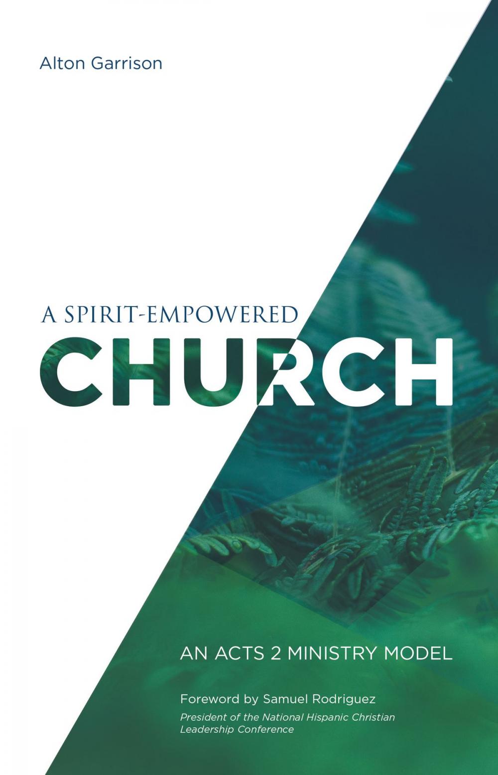 Big bigCover of A Spirit-Empowered Church