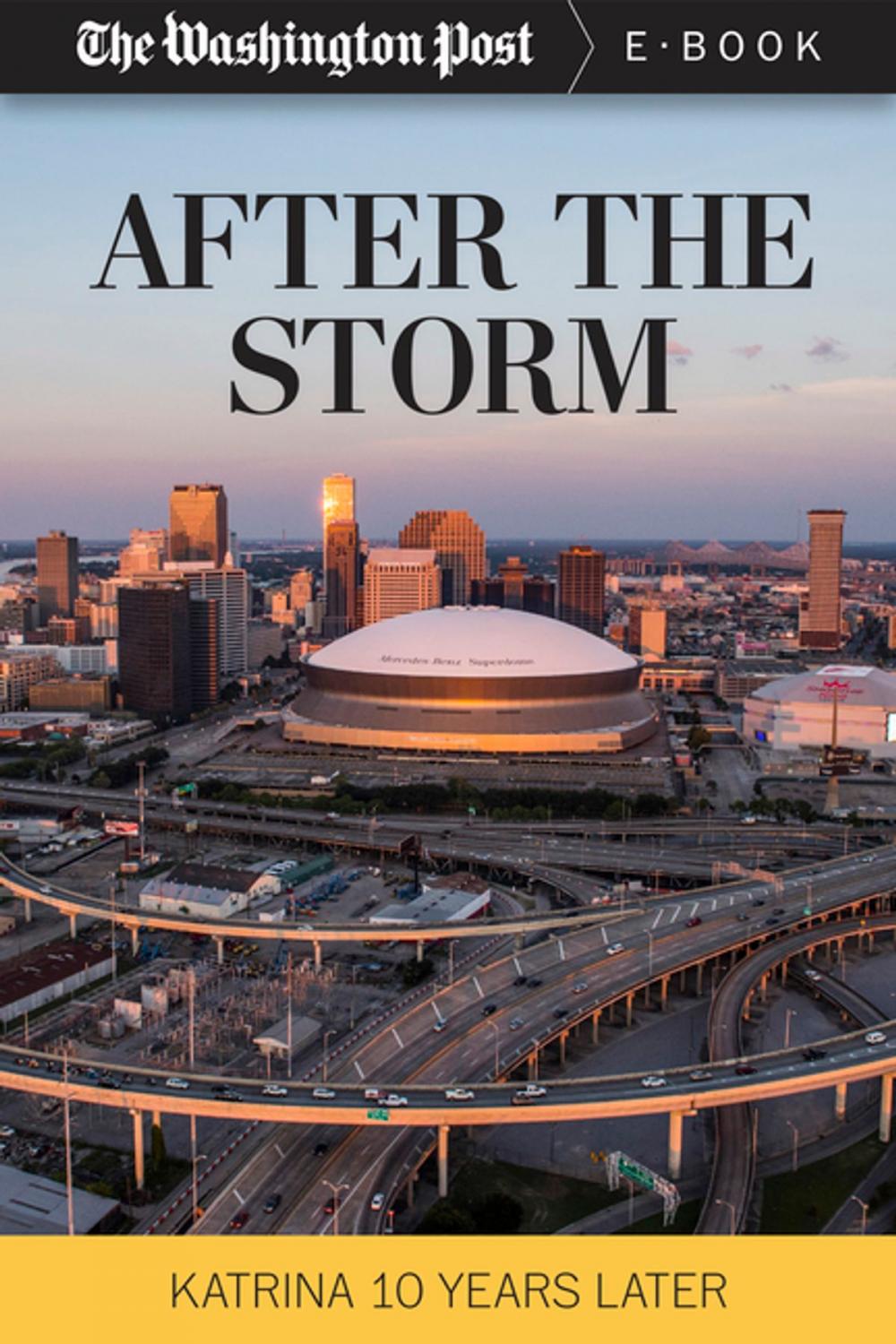 Big bigCover of After the Storm