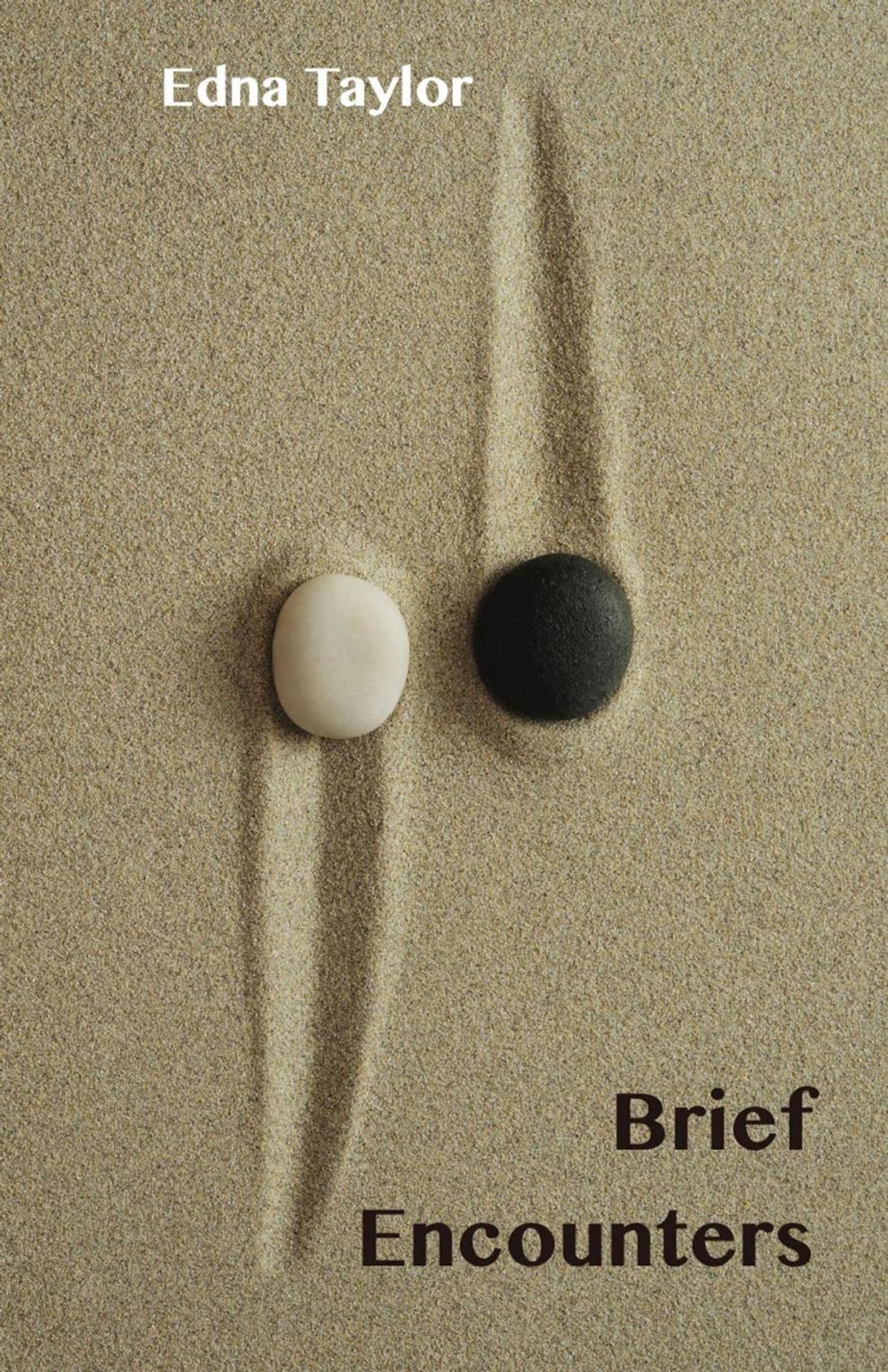 Big bigCover of Brief Encounters