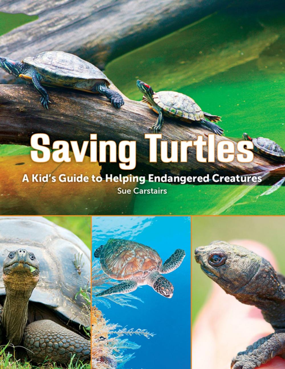 Big bigCover of Saving Turtles