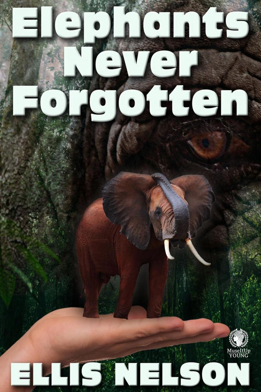 Big bigCover of Elephants Never Forgotten