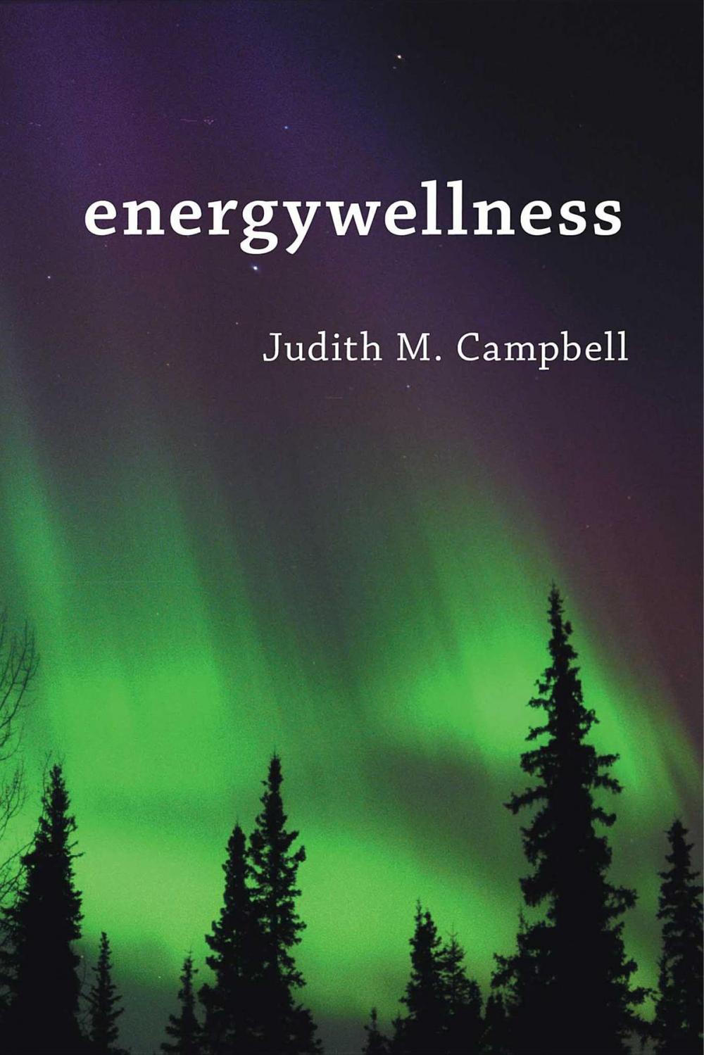 Big bigCover of Energywellness