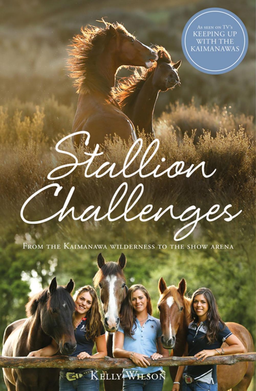 Big bigCover of Stallion Challenges