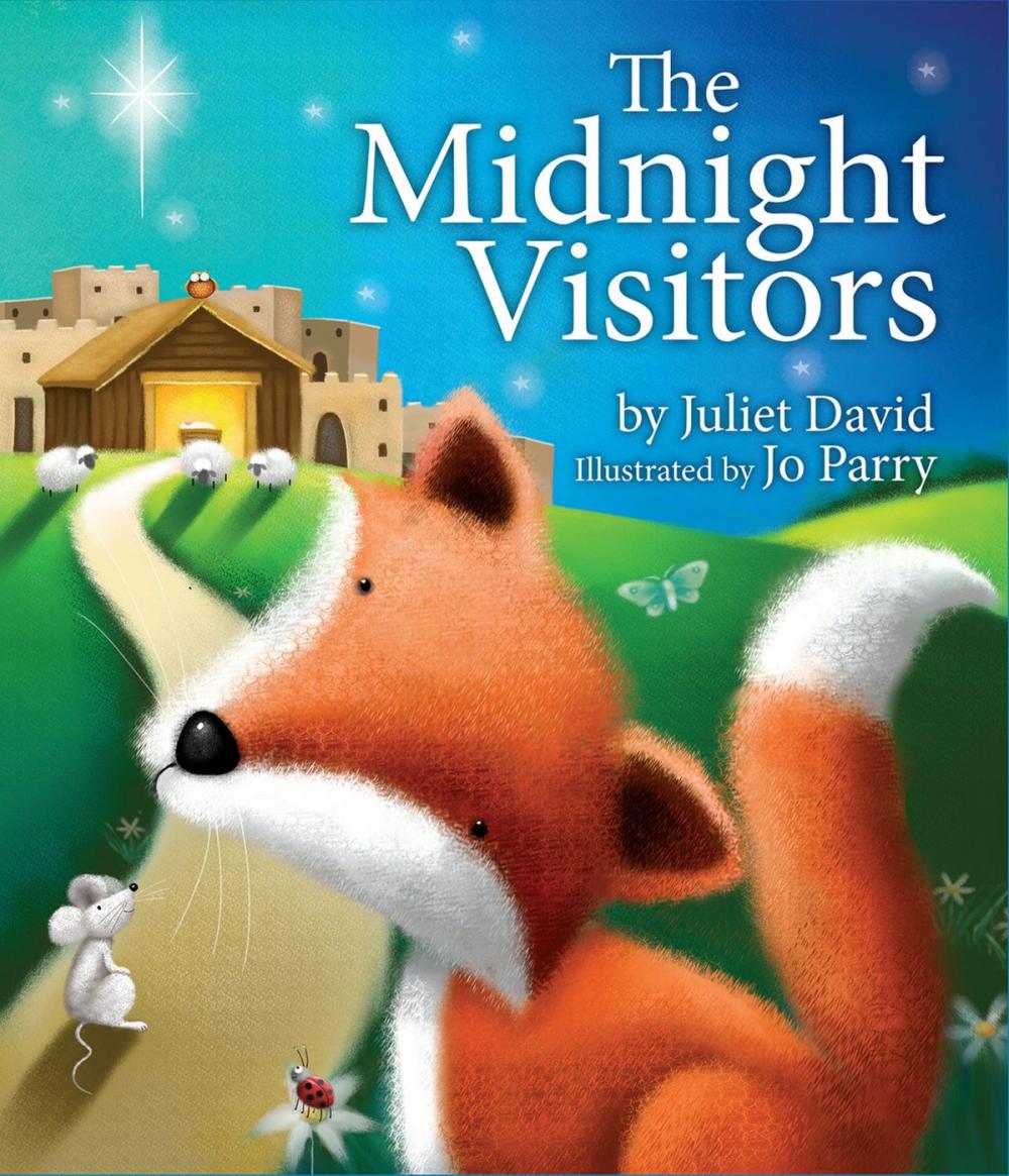 Big bigCover of The Midnight Visitors