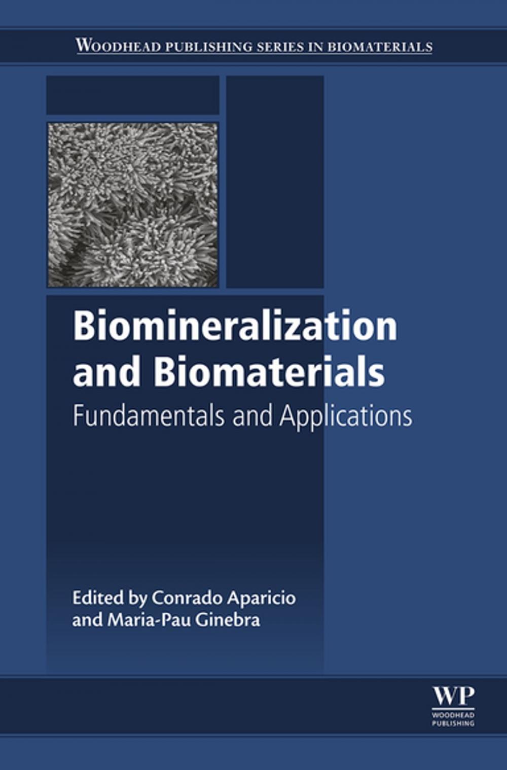 Big bigCover of Biomineralization and Biomaterials