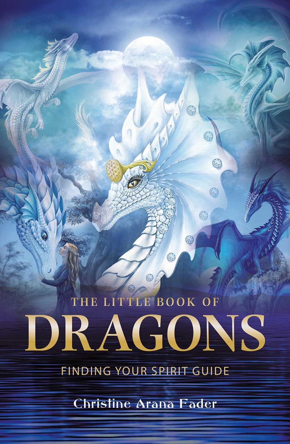 Big bigCover of The Little Book of Dragons