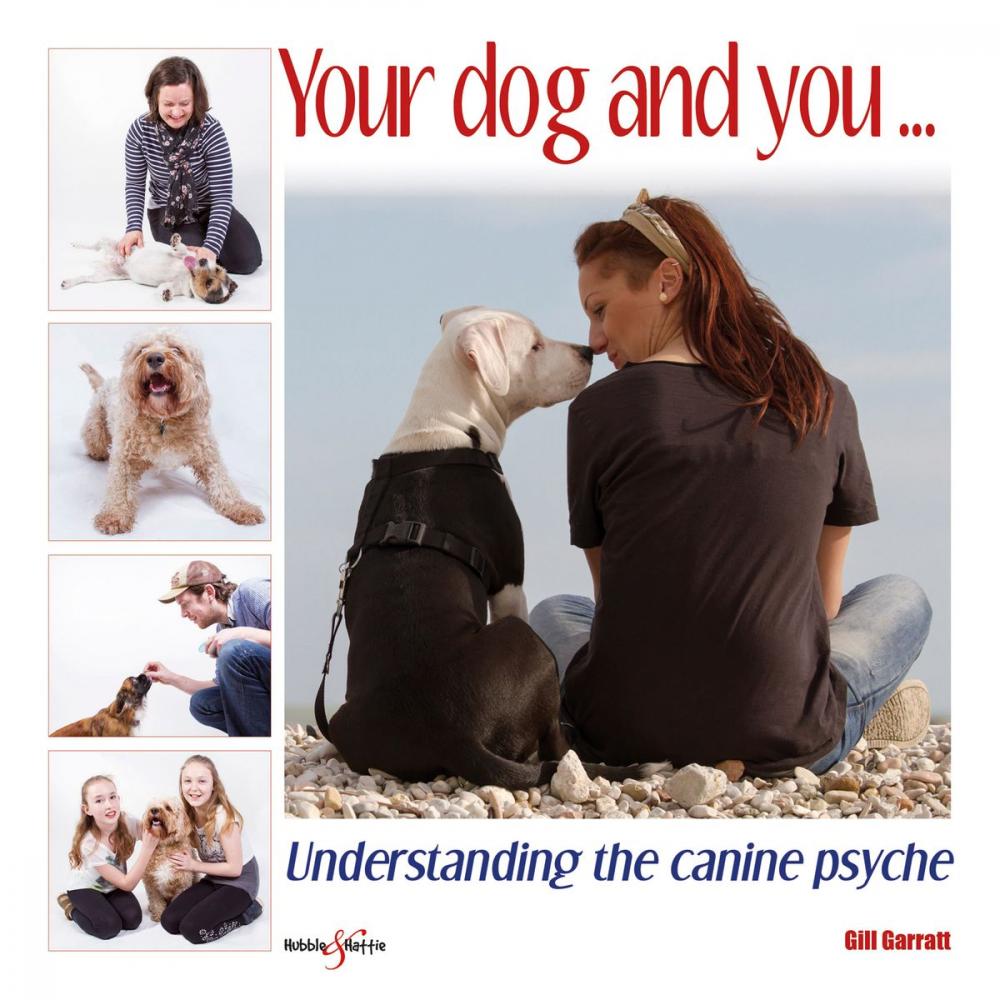 Big bigCover of Your dog and you