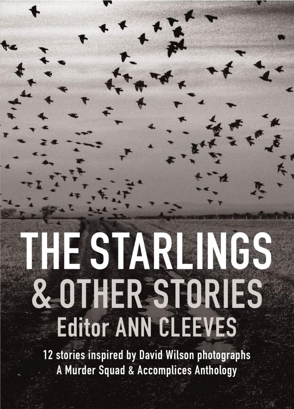 Big bigCover of The Starlings & Other Stories