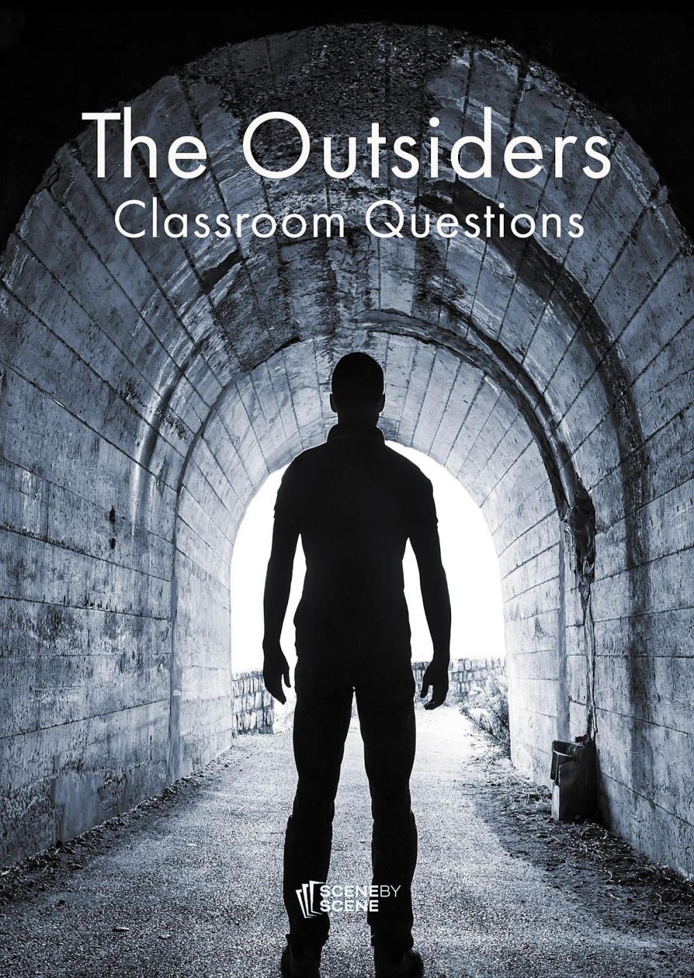 Big bigCover of The Outsiders Classroom Questions