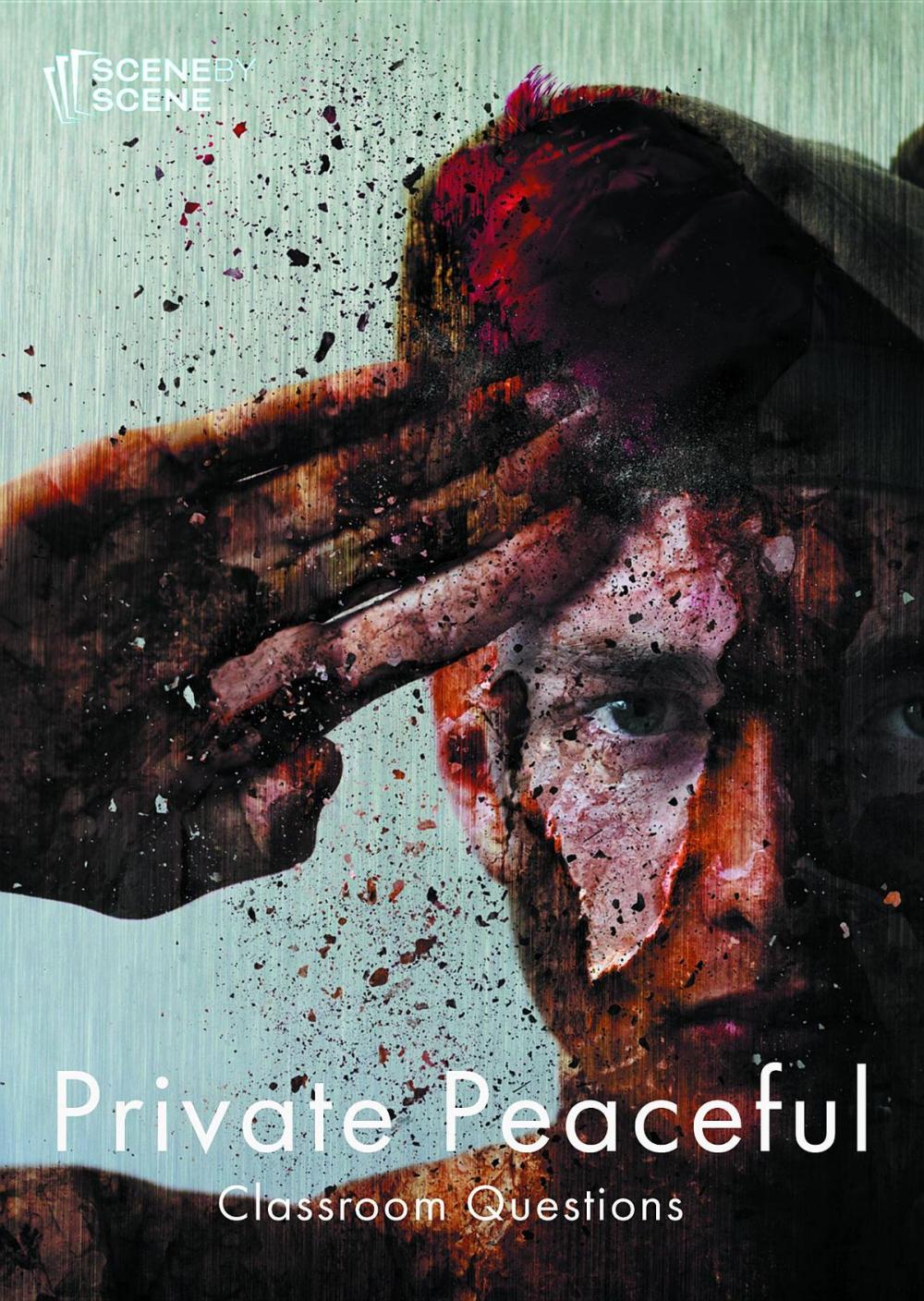 Big bigCover of Private Peaceful Classroom Questions