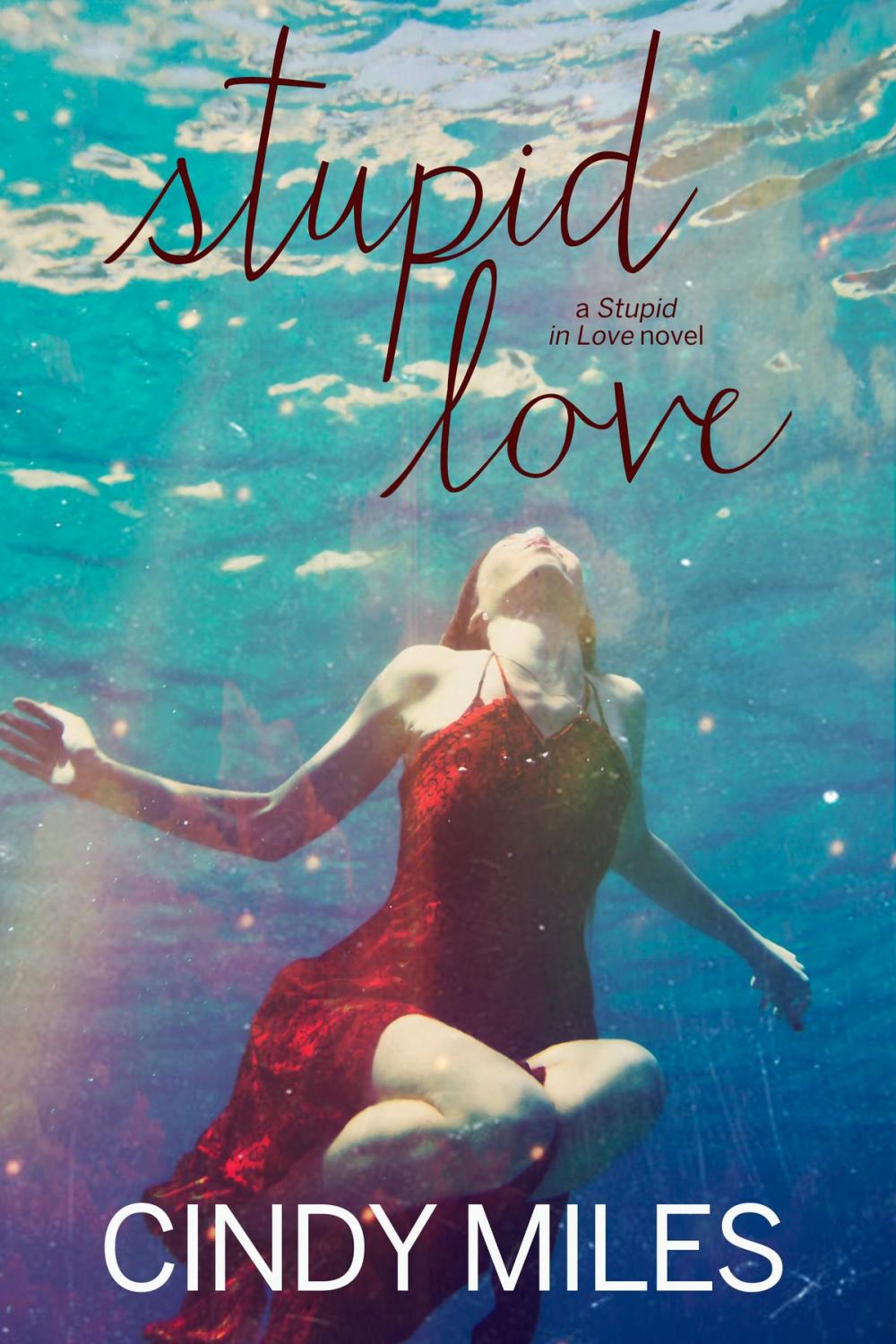 Big bigCover of Stupid Love (New Adult Romance)