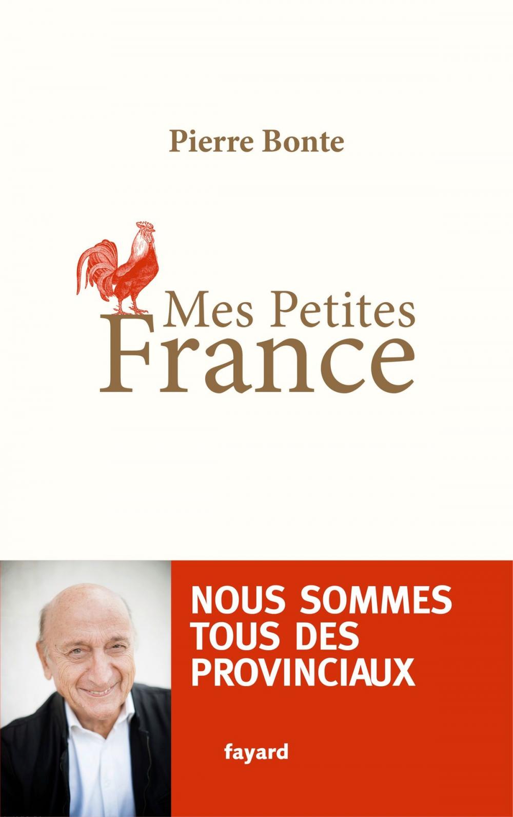 Big bigCover of Mes petites France