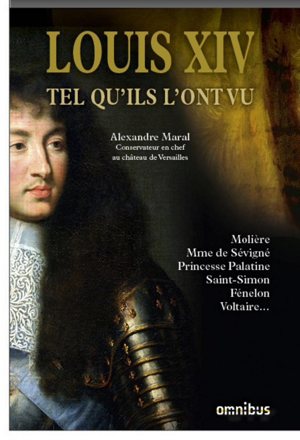 Big bigCover of Louis XIV tel qu'ils l'ont vu