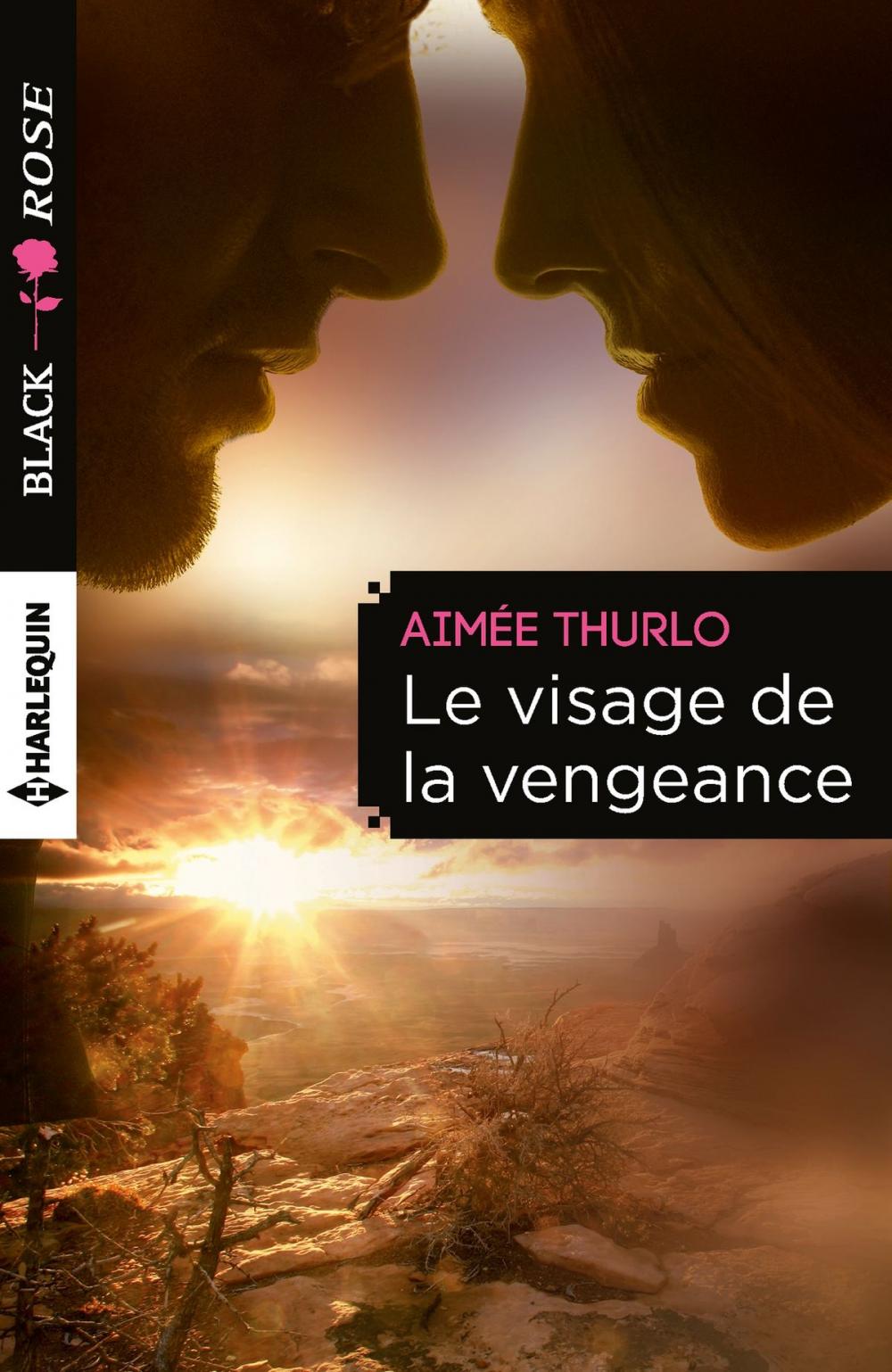 Big bigCover of Le visage de la vengeance