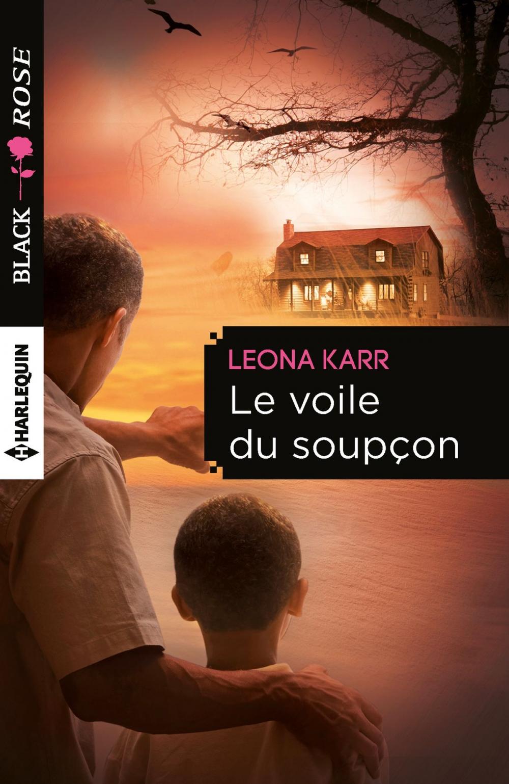 Big bigCover of Le voile du soupçon