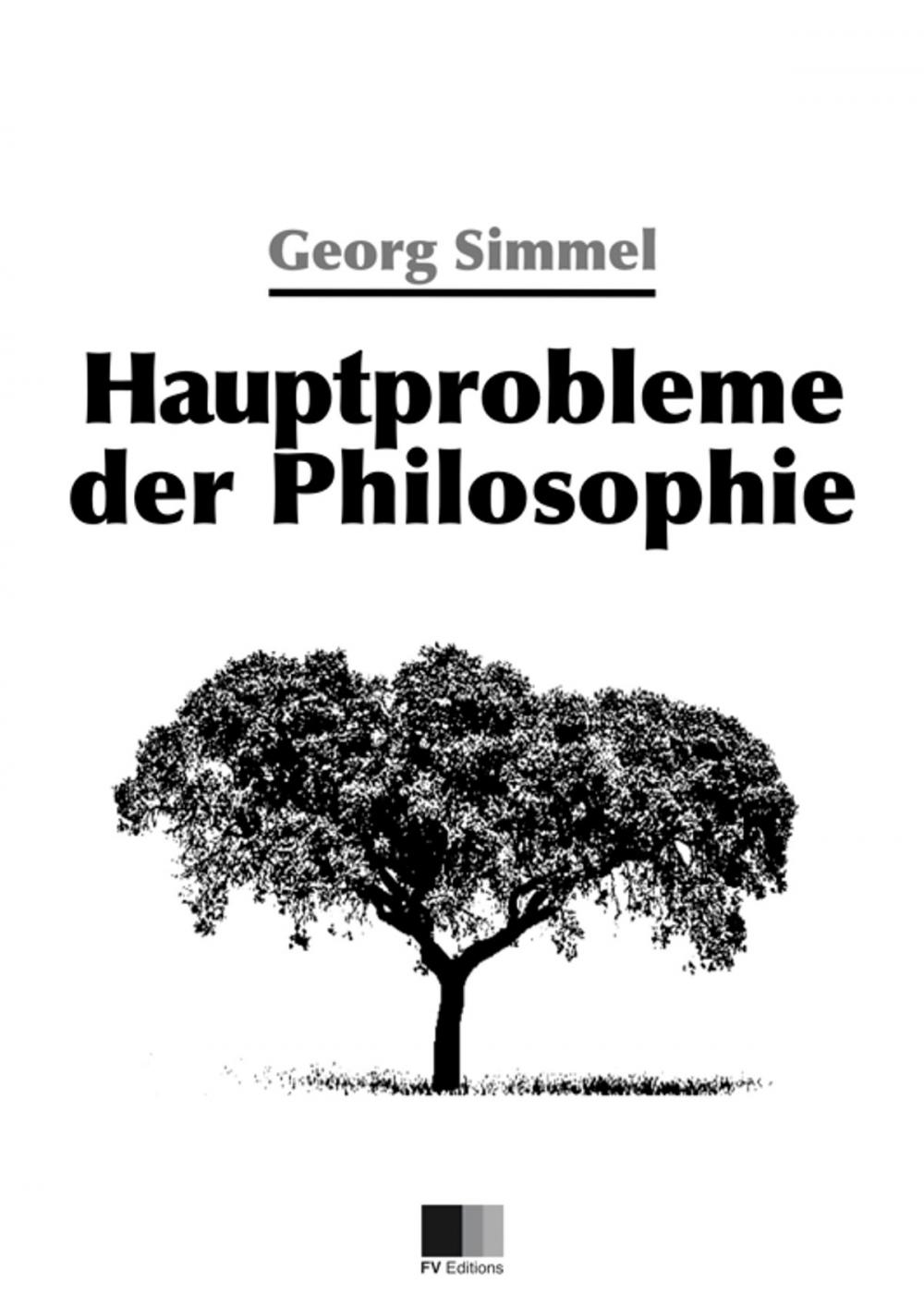 Big bigCover of Hauptprobleme der Philosophie