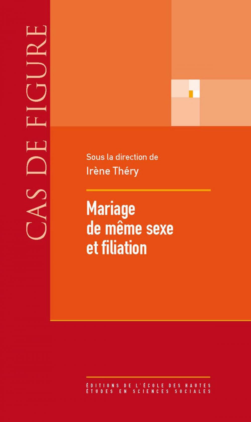 Big bigCover of Mariage de même sexe et filiation