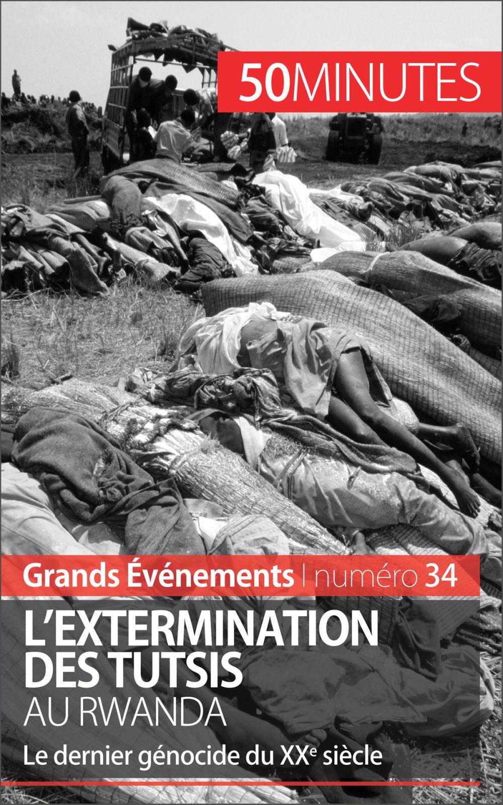 Big bigCover of L'extermination des Tutsis au Rwanda