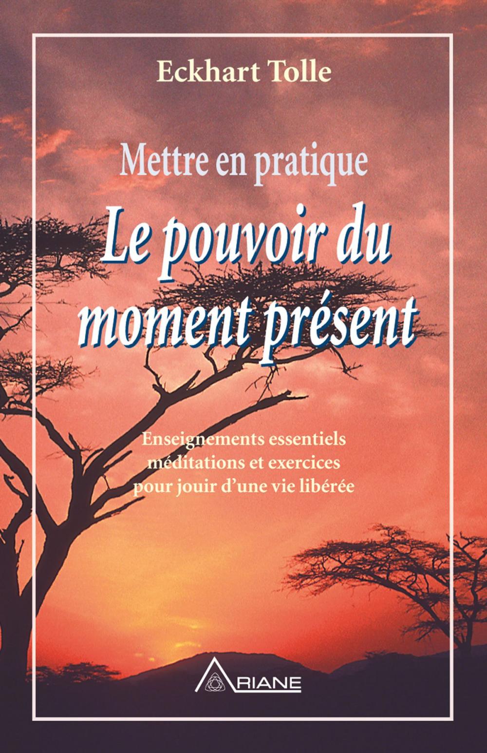 Big bigCover of Mettre en pratique Le pouvoir du moment présent