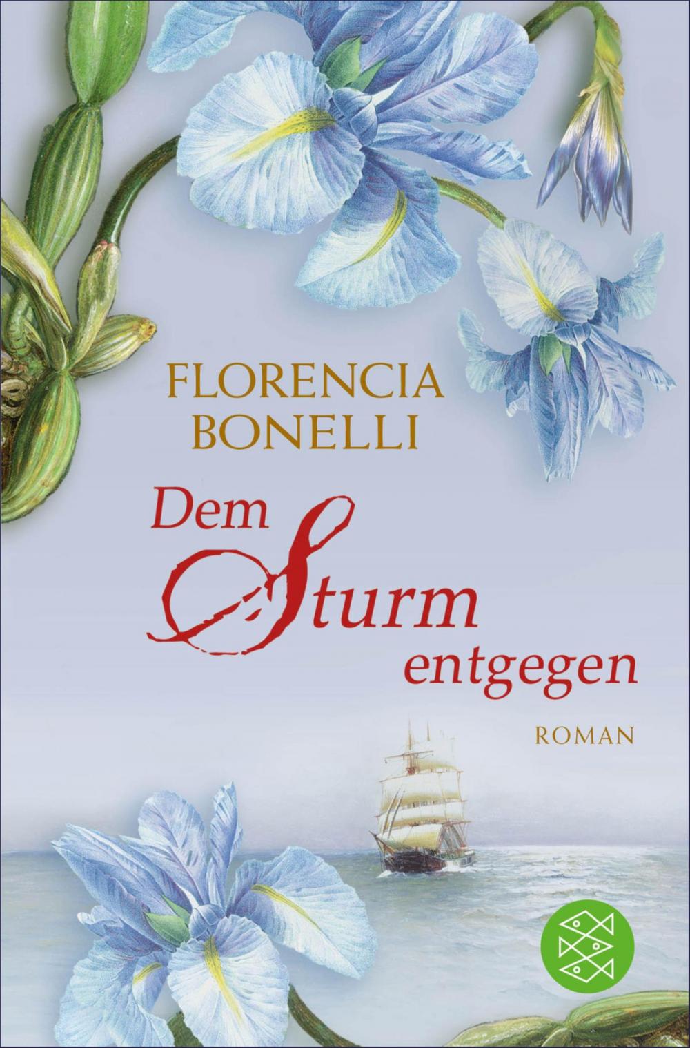 Big bigCover of Dem Sturm entgegen