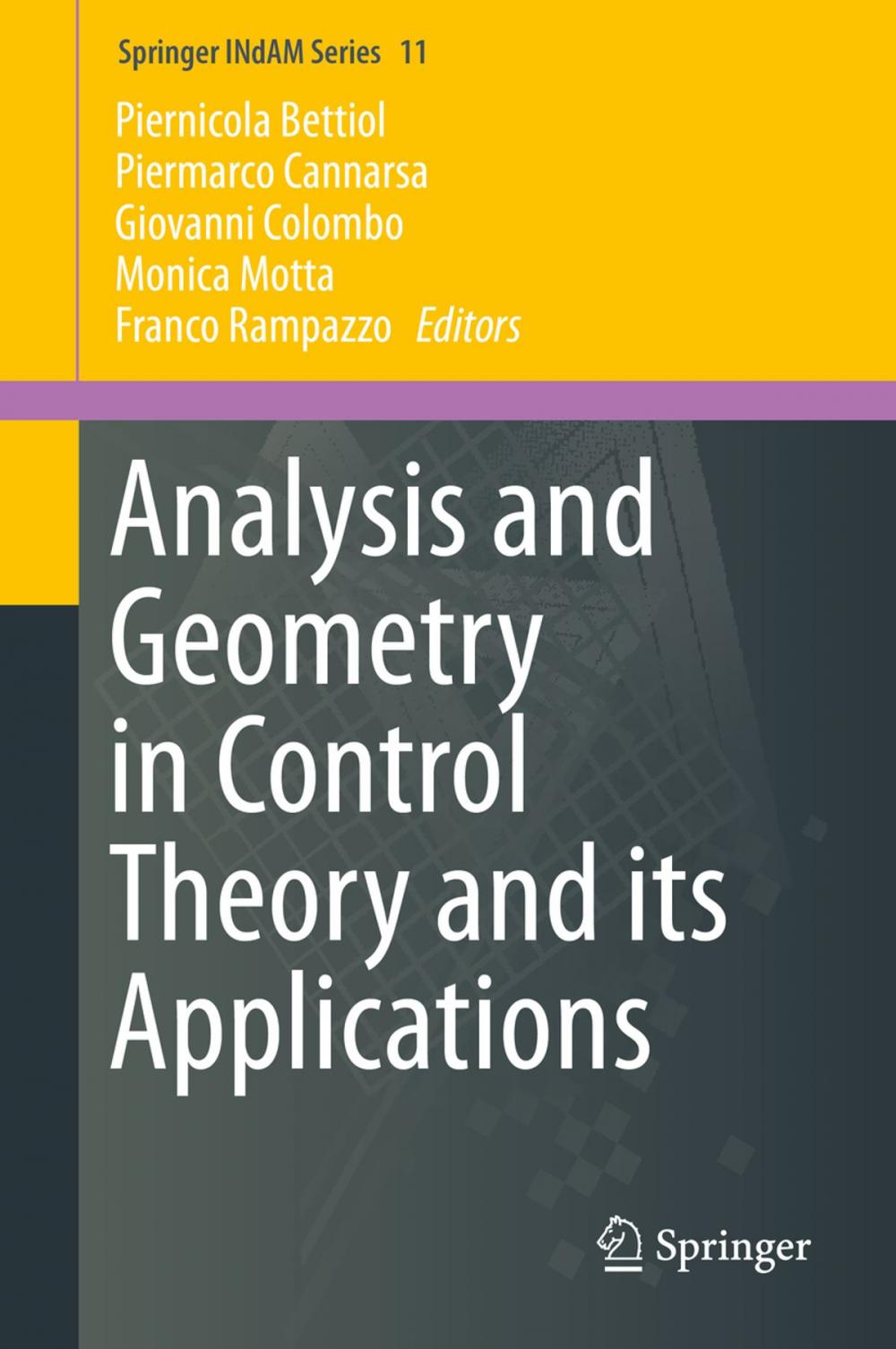 Big bigCover of Analysis and Geometry in Control Theory and its Applications