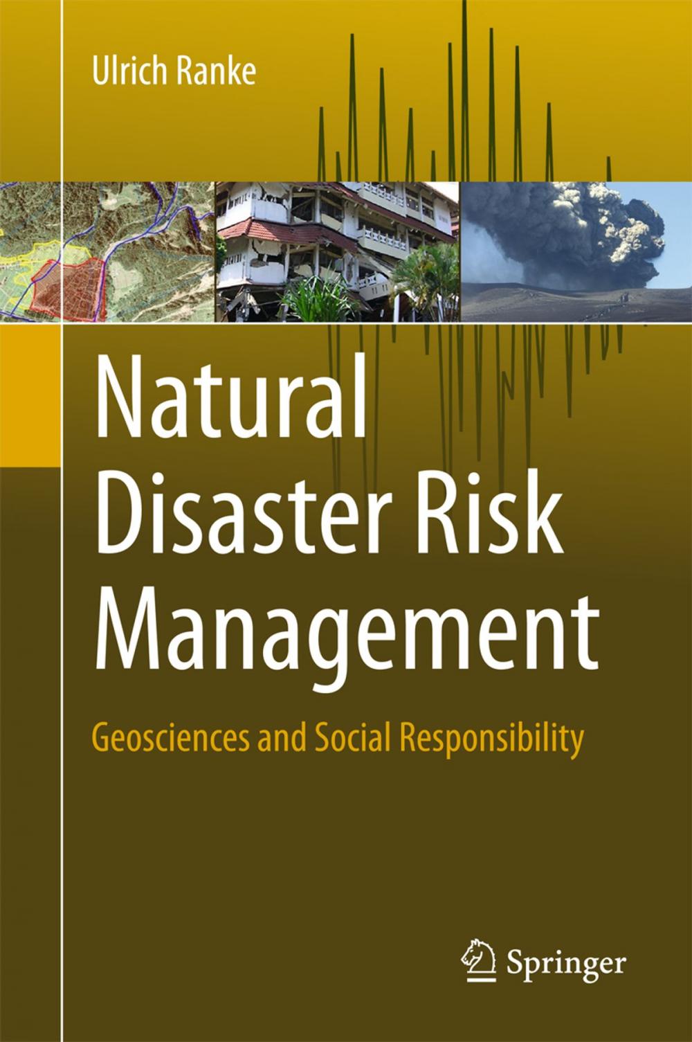 Big bigCover of Natural Disaster Risk Management