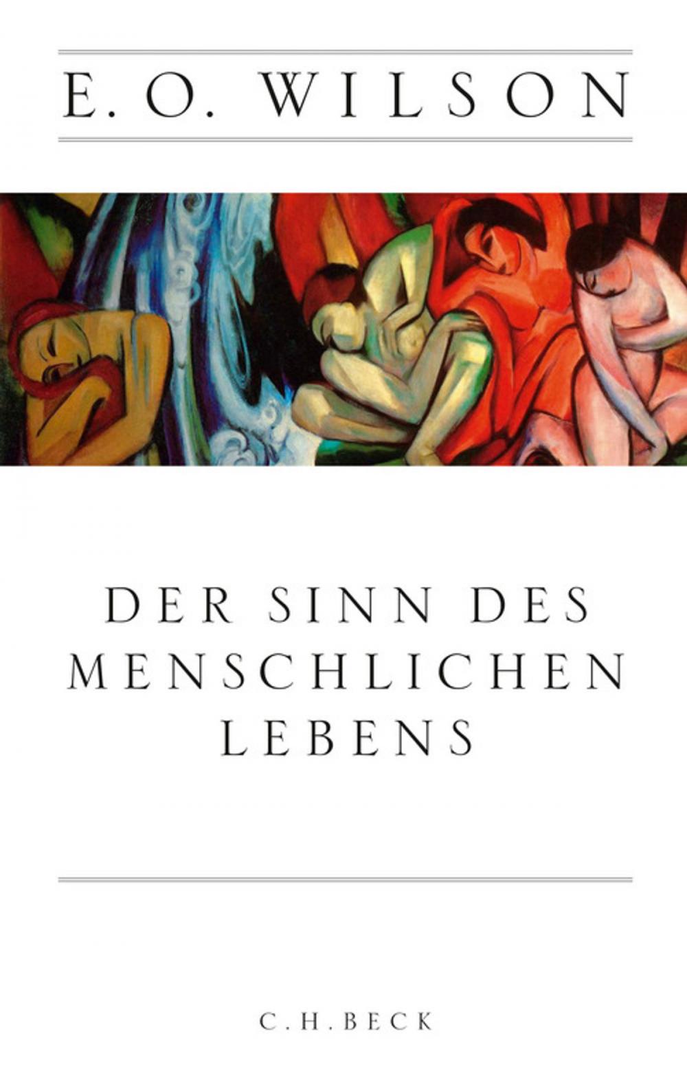 Big bigCover of Der Sinn des menschlichen Lebens