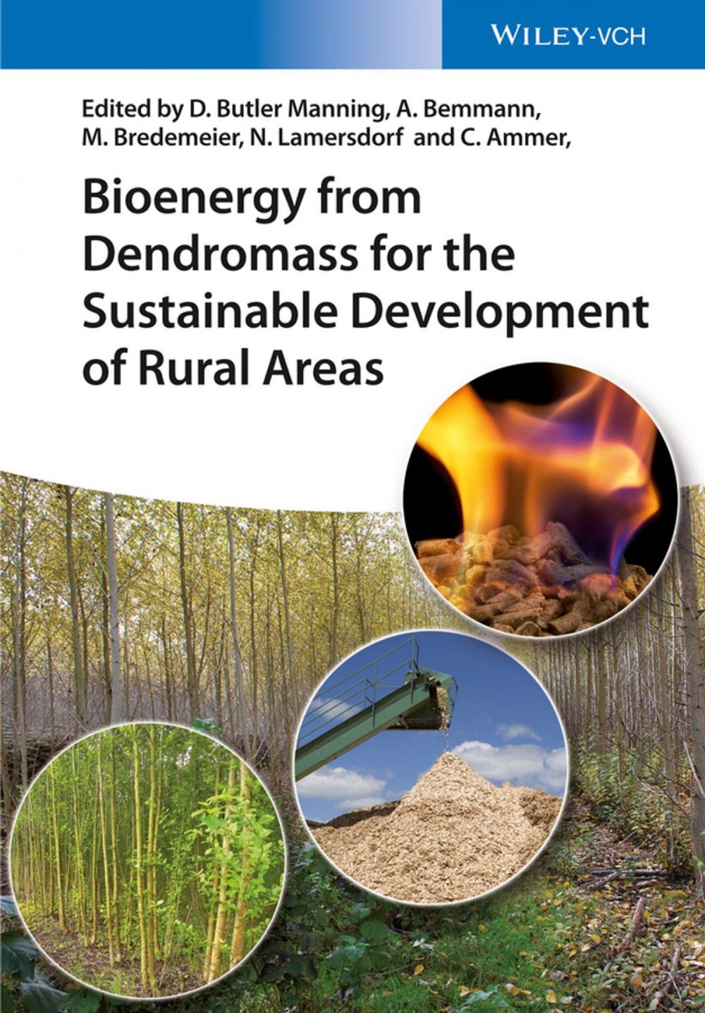 Big bigCover of Bioenergy from Dendromass for the Sustainable Development of Rural Areas