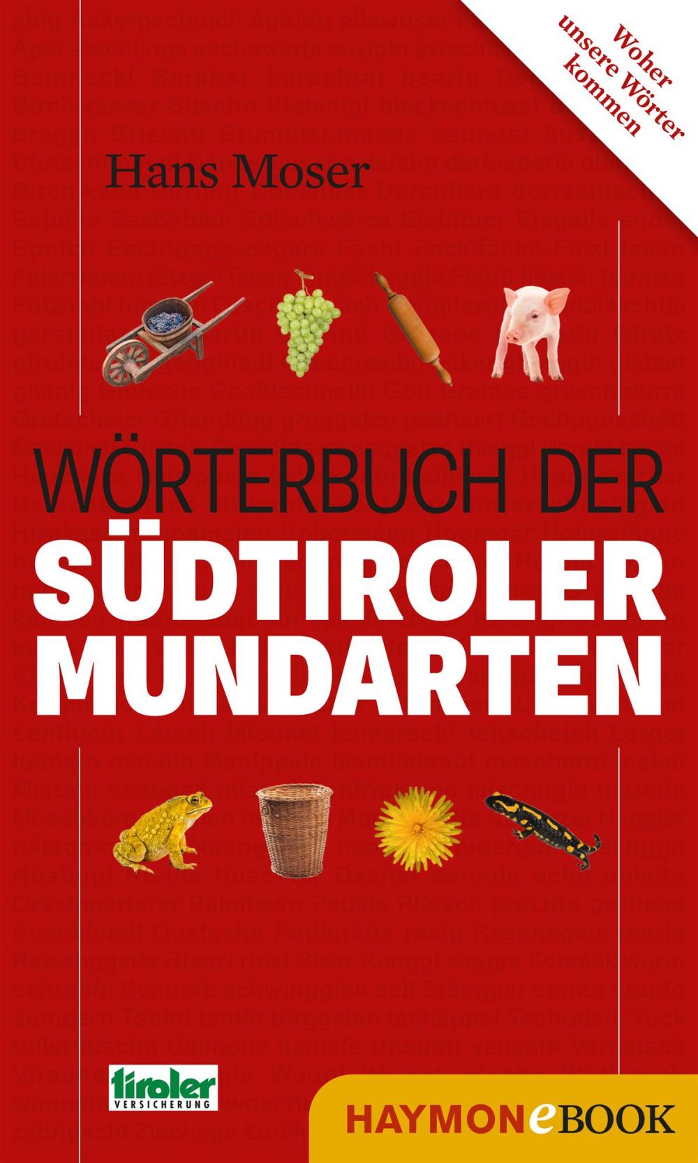 Big bigCover of Wörterbuch der Südtiroler Mundarten