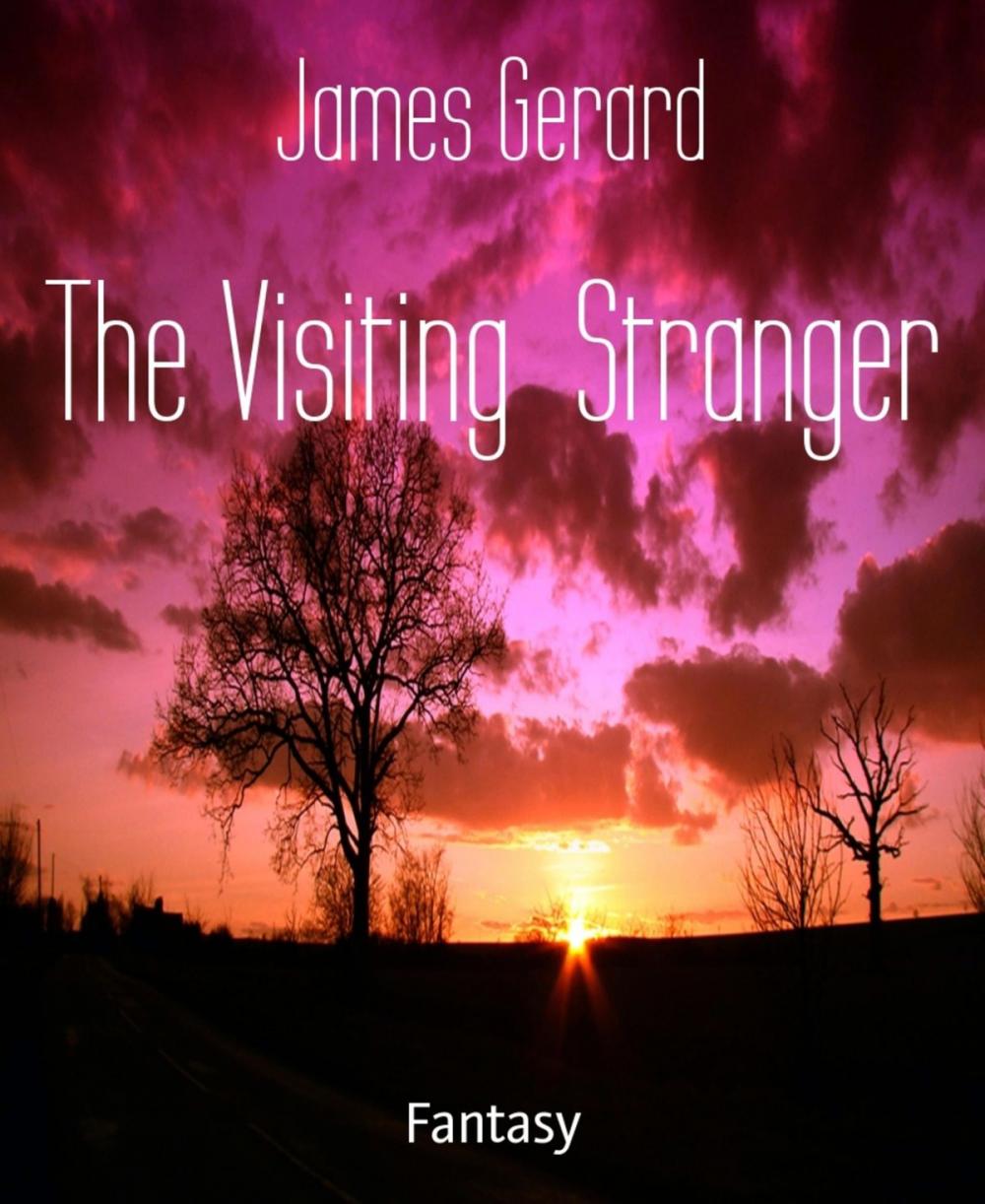 Big bigCover of The Visiting Stranger