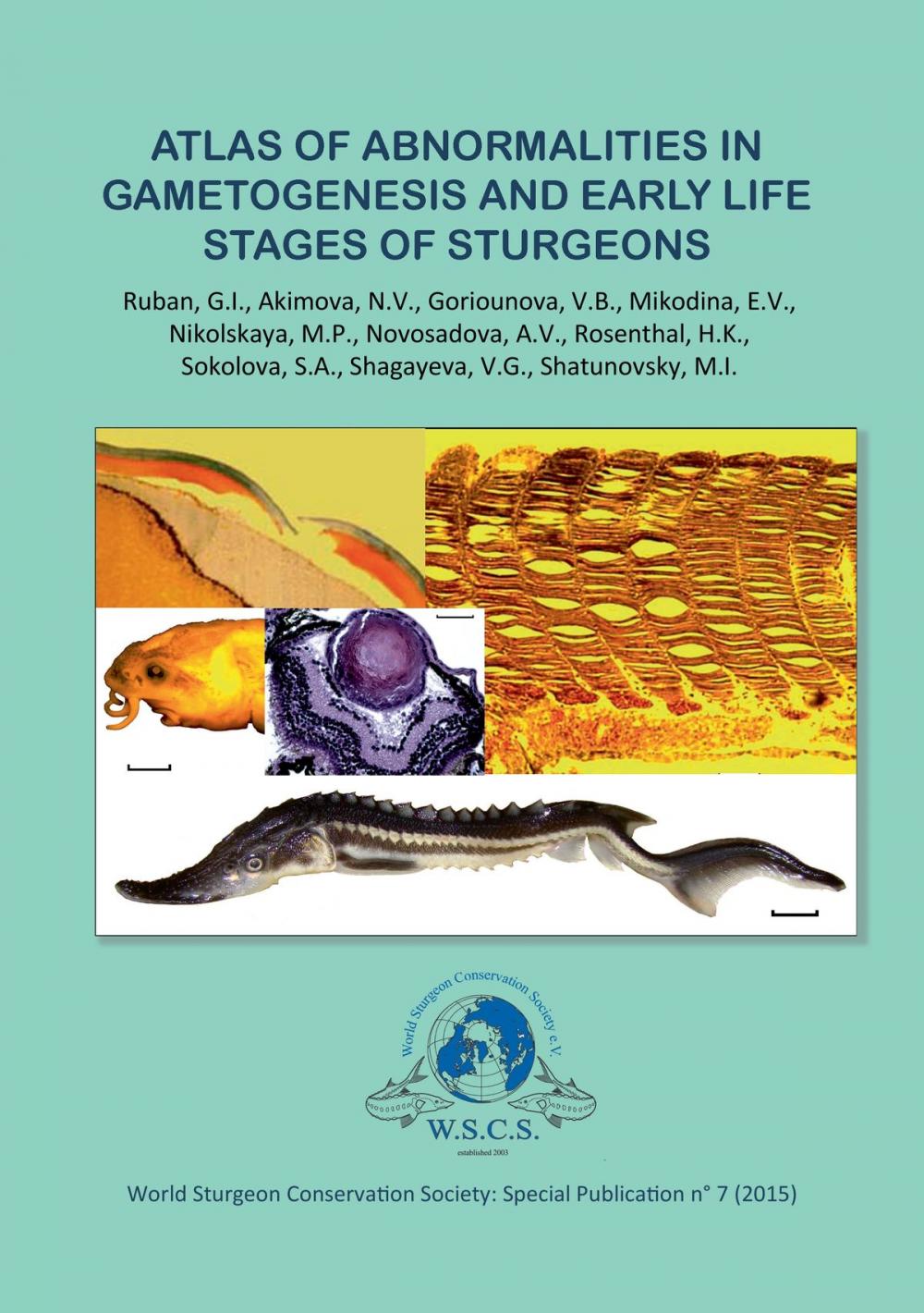 Big bigCover of Atlas of abnormalities in gametogenies and early life stages of sturgeons