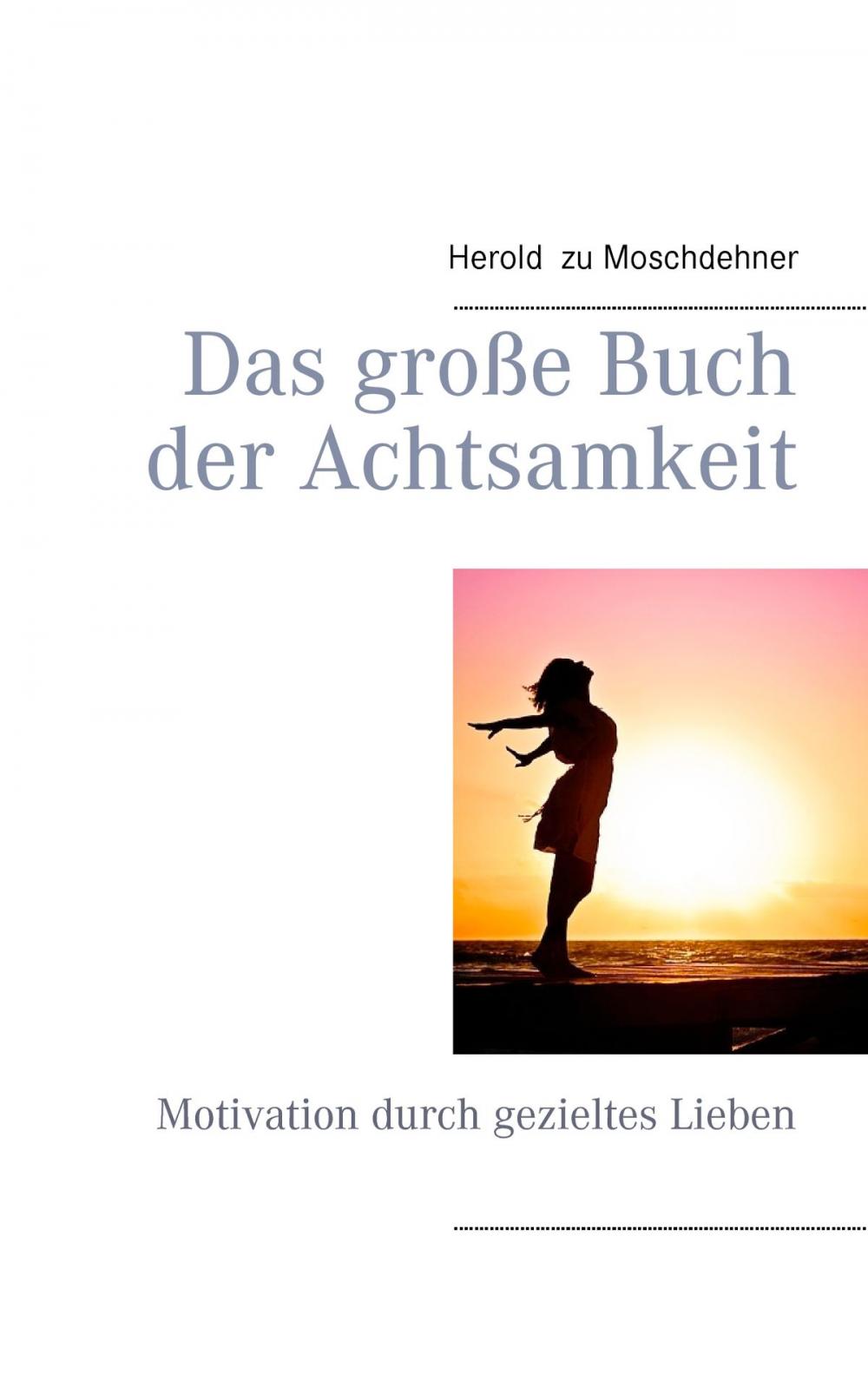 Big bigCover of Das große Buch der Achtsamkeit