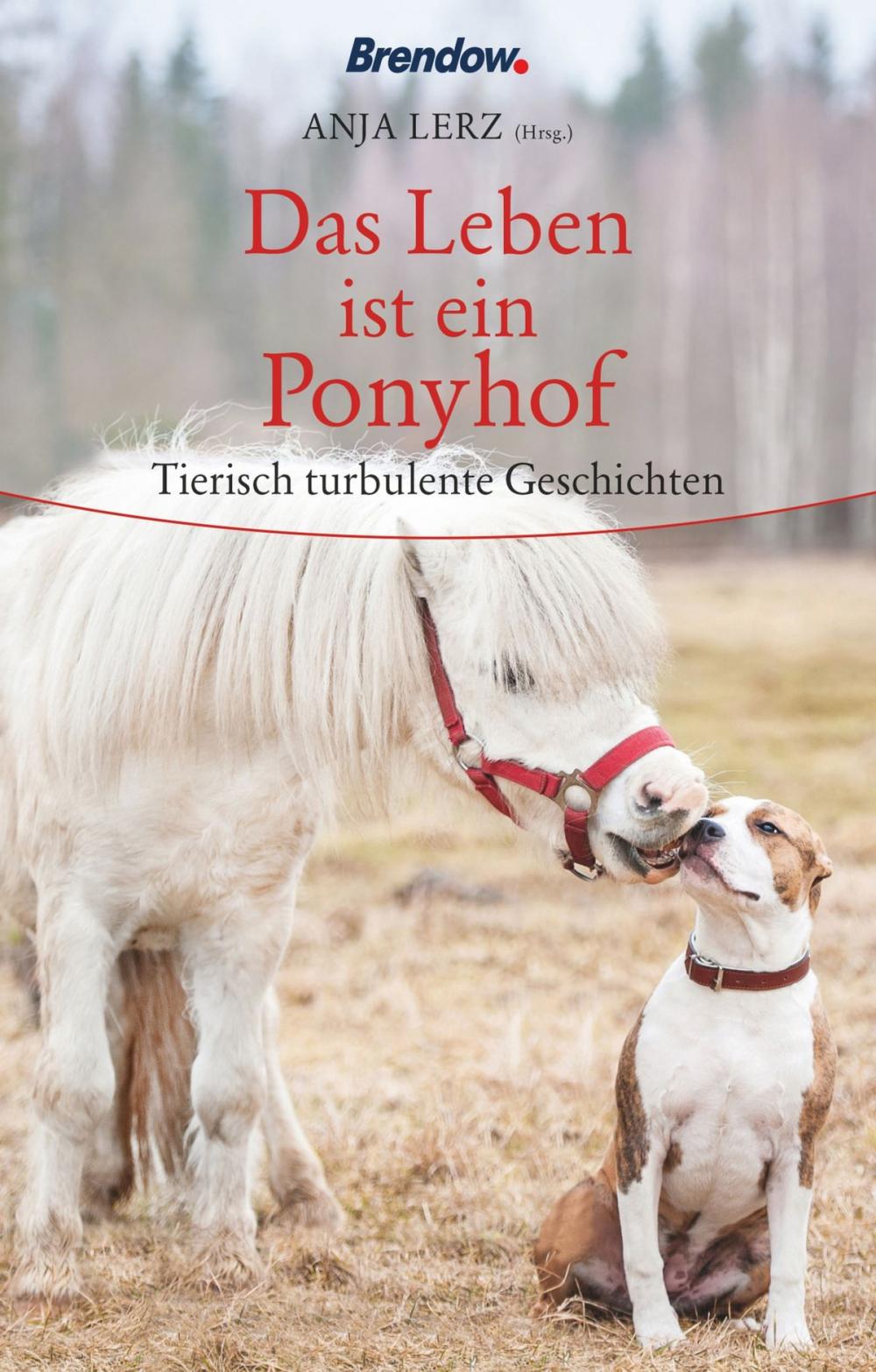 Big bigCover of Das Leben ist ein Ponyhof