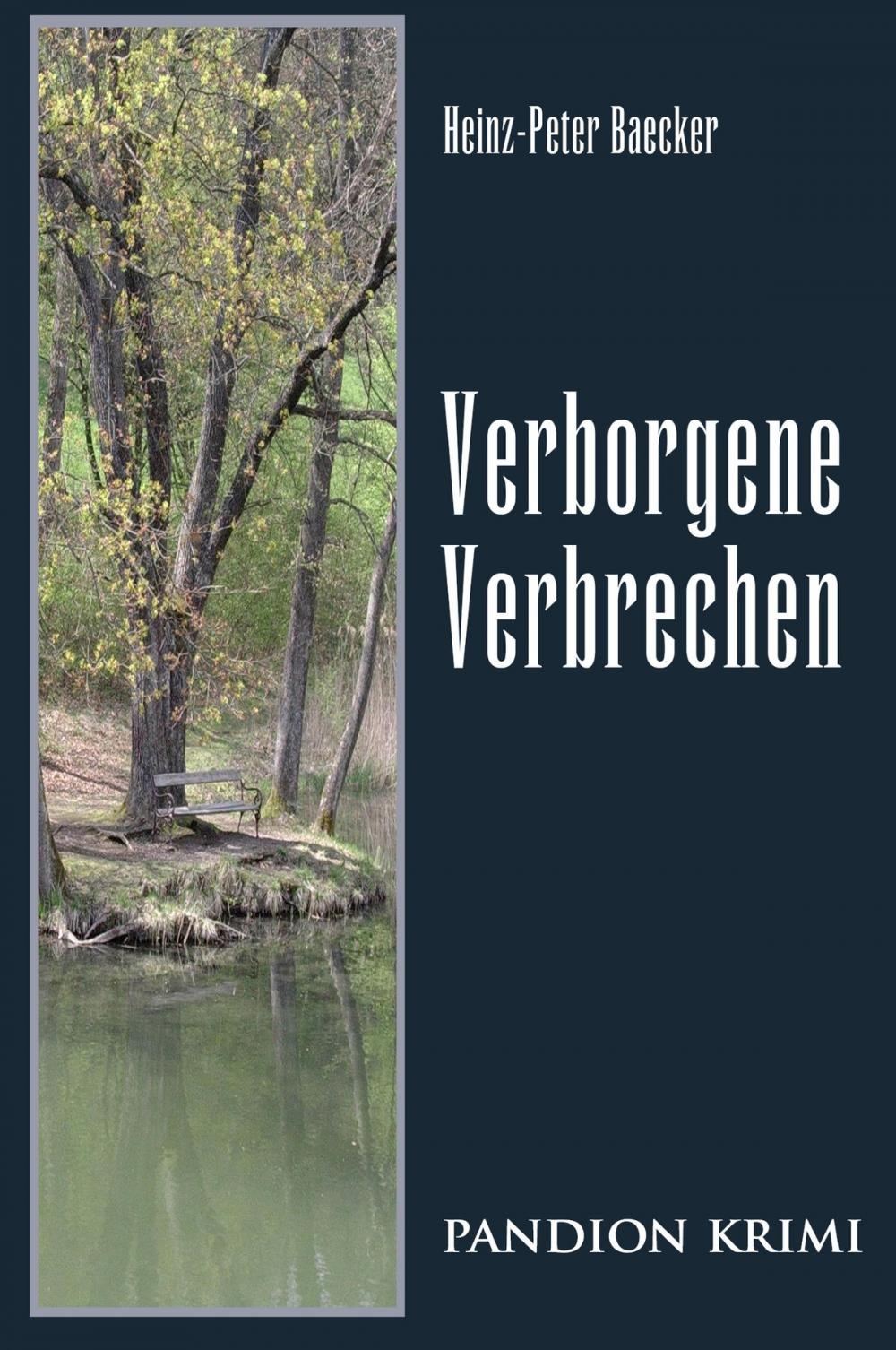 Big bigCover of Verborgene Verbrechen: Hunsrück-Krimi-Reihe Band IX