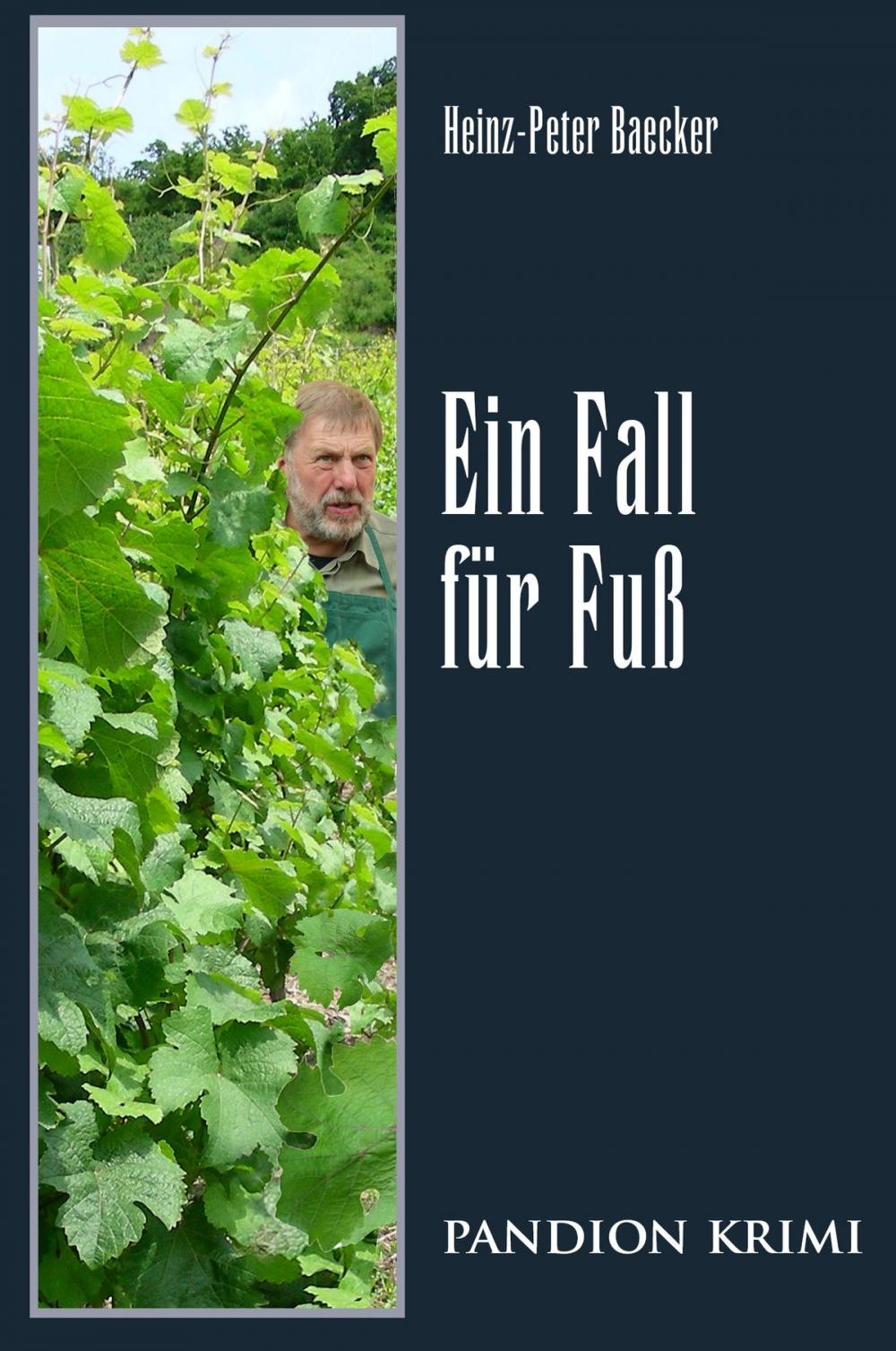 Big bigCover of Ein Fall für Fuß: Hunsrück-Krimi-Reihe Band X