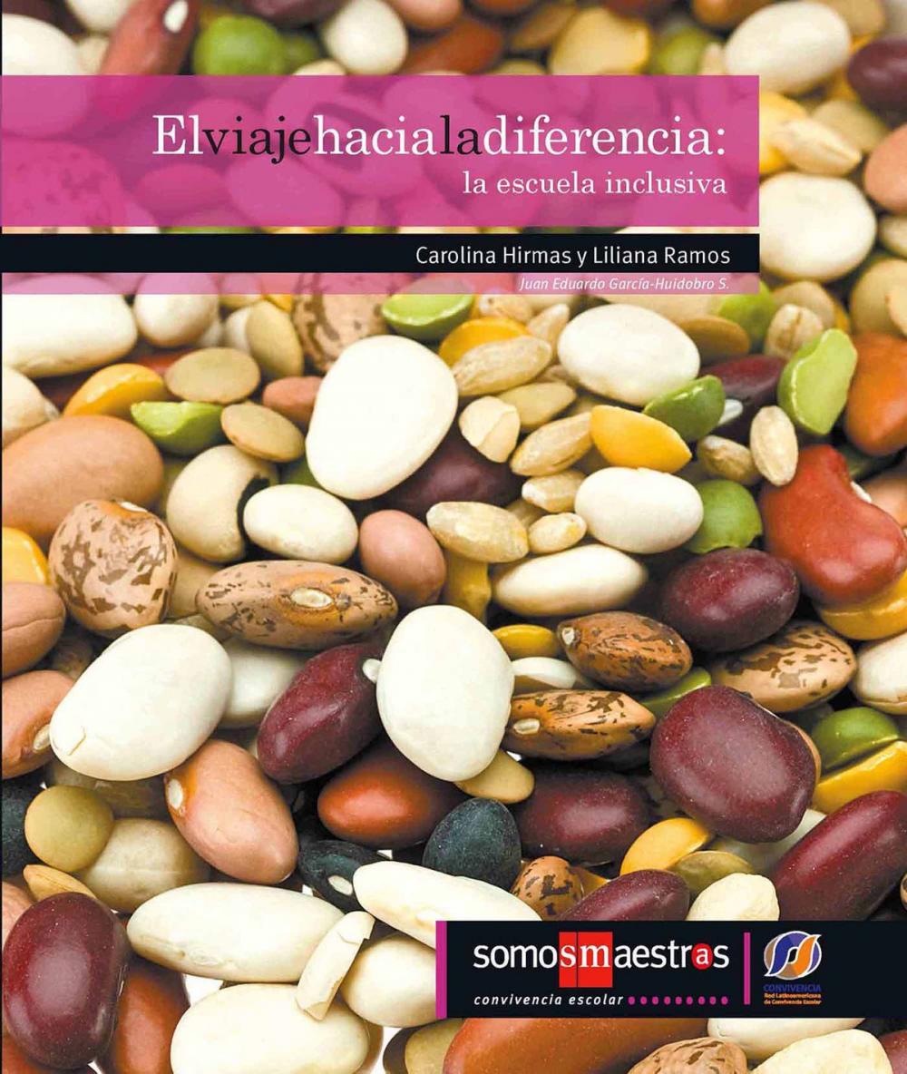 Big bigCover of El viaje hacia la diferencia