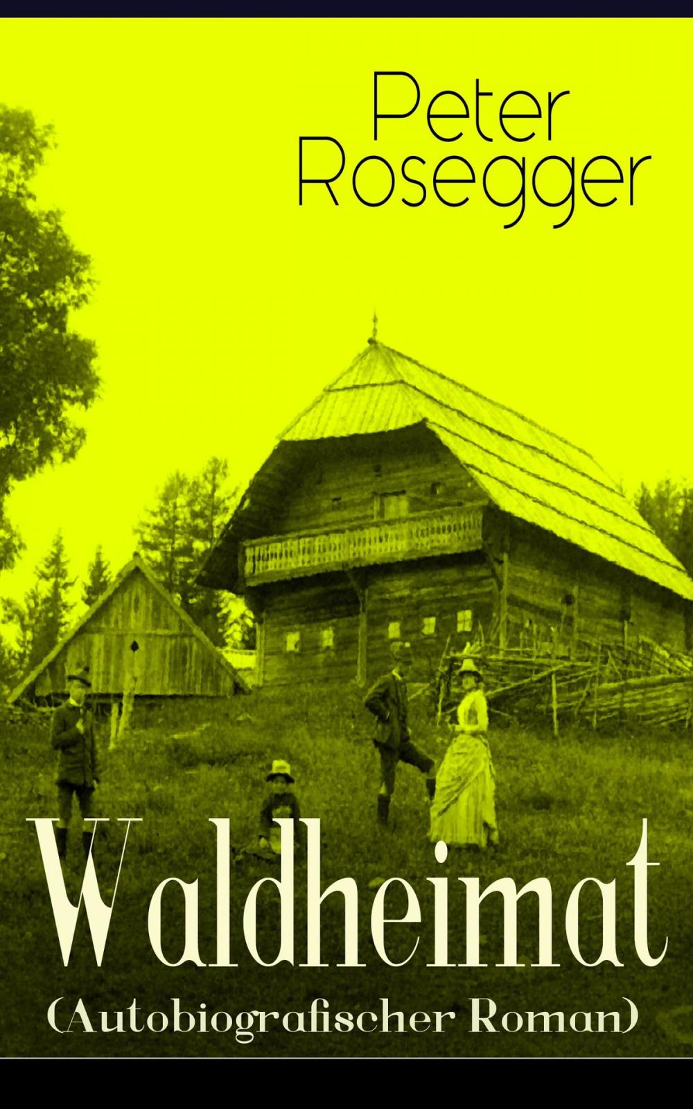 Big bigCover of Waldheimat (Autobiografischer Roman)