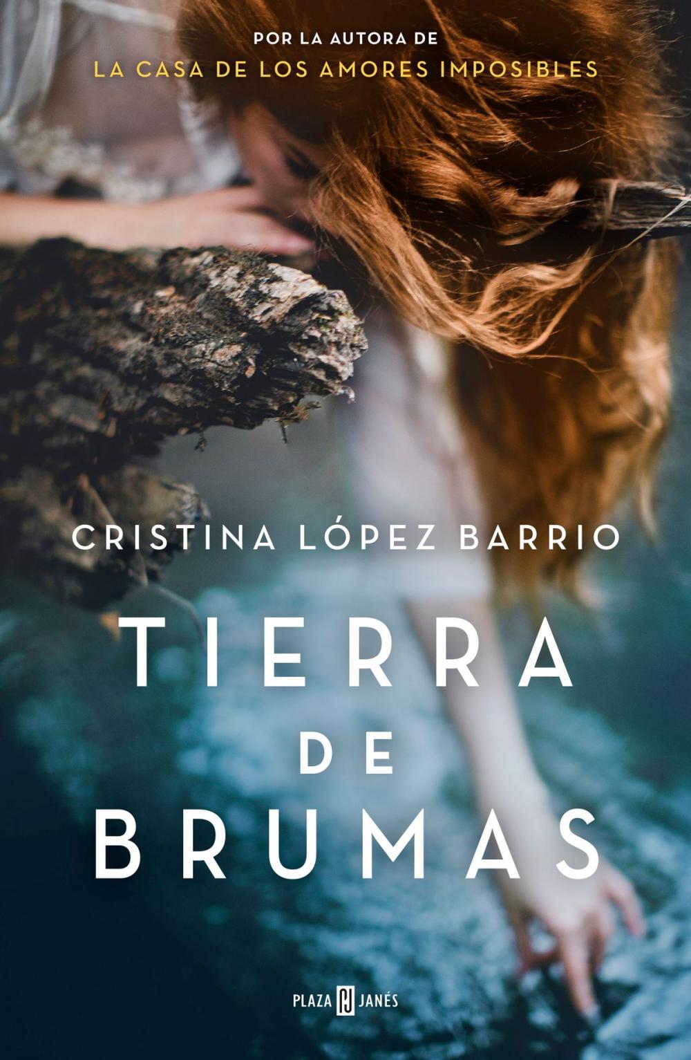 Big bigCover of Tierra de brumas