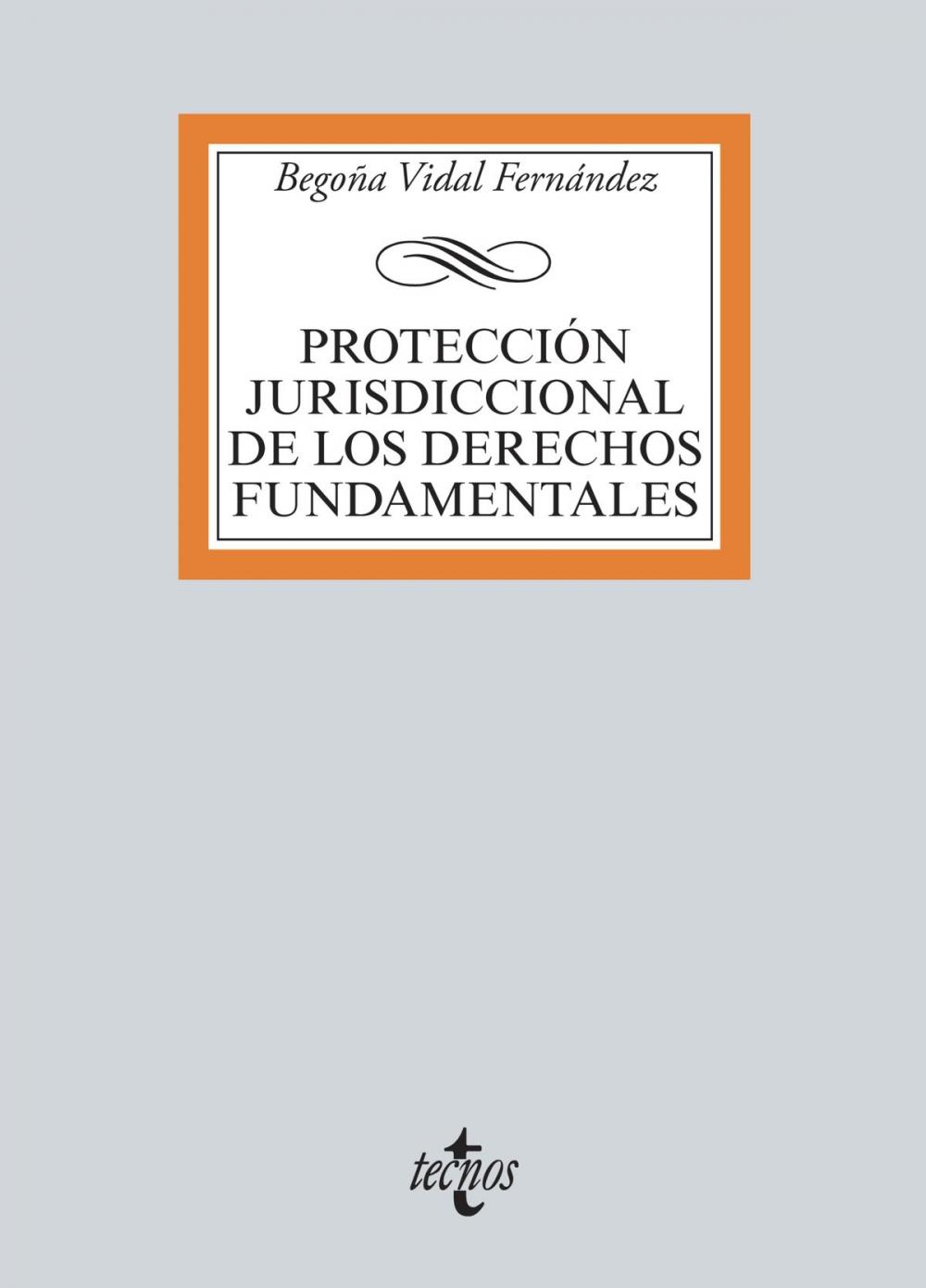 Big bigCover of Protección jurisdiccional de los Derechos Fundamentales