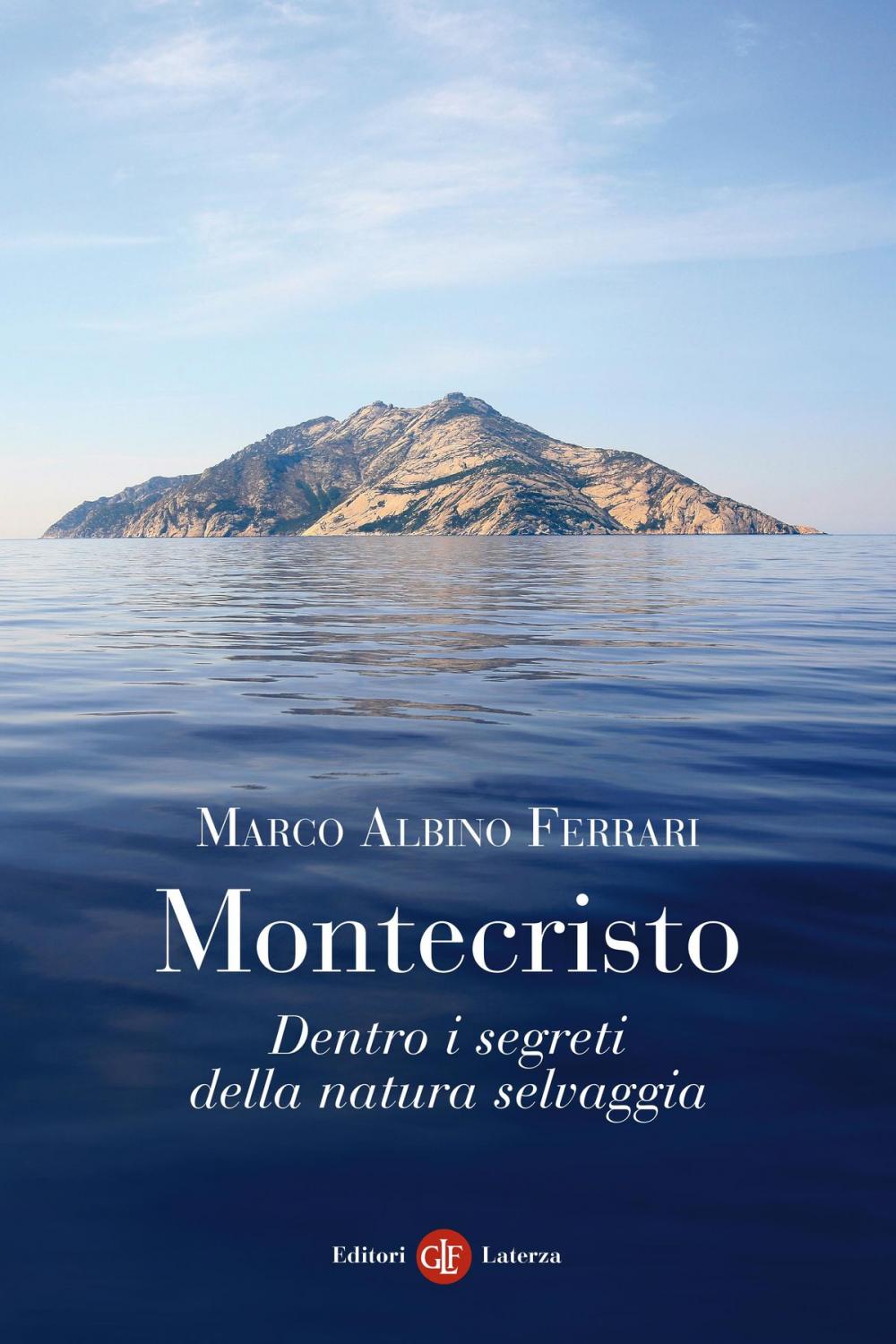 Big bigCover of Montecristo