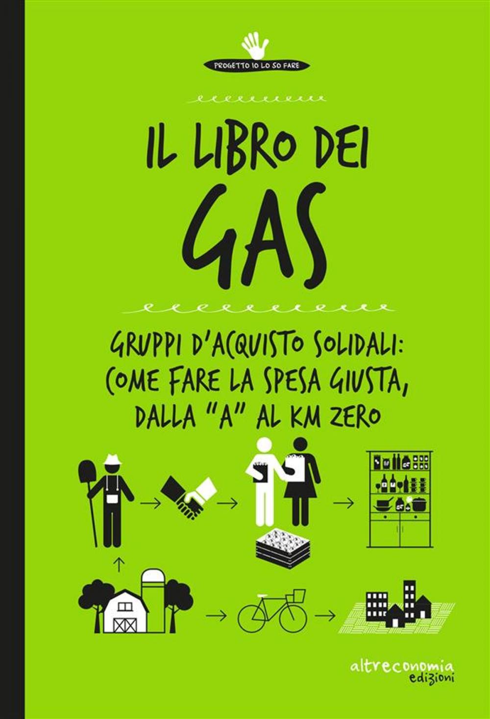 Big bigCover of Il libro dei Gas