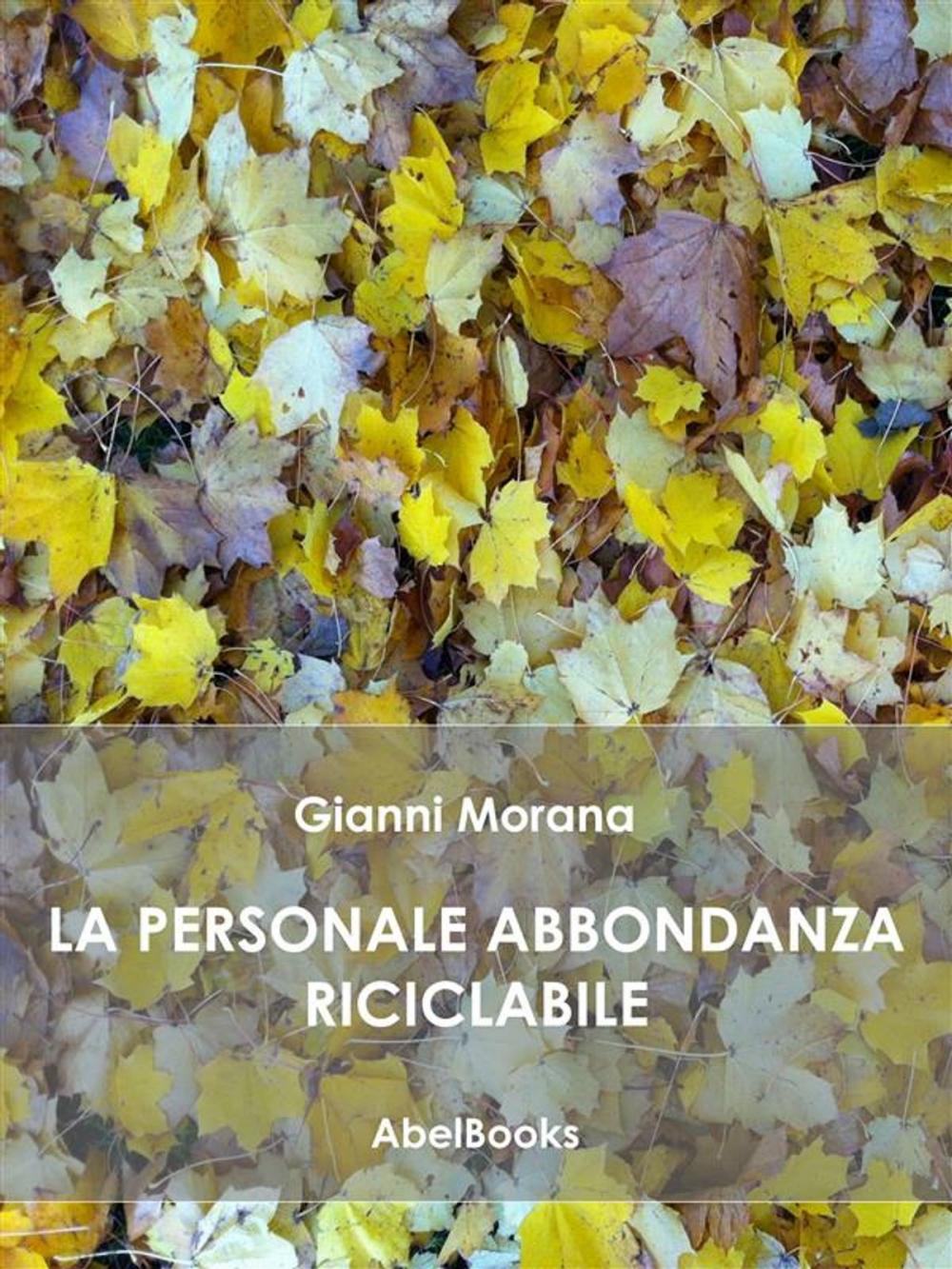 Big bigCover of La personale abbondanza riciclabile