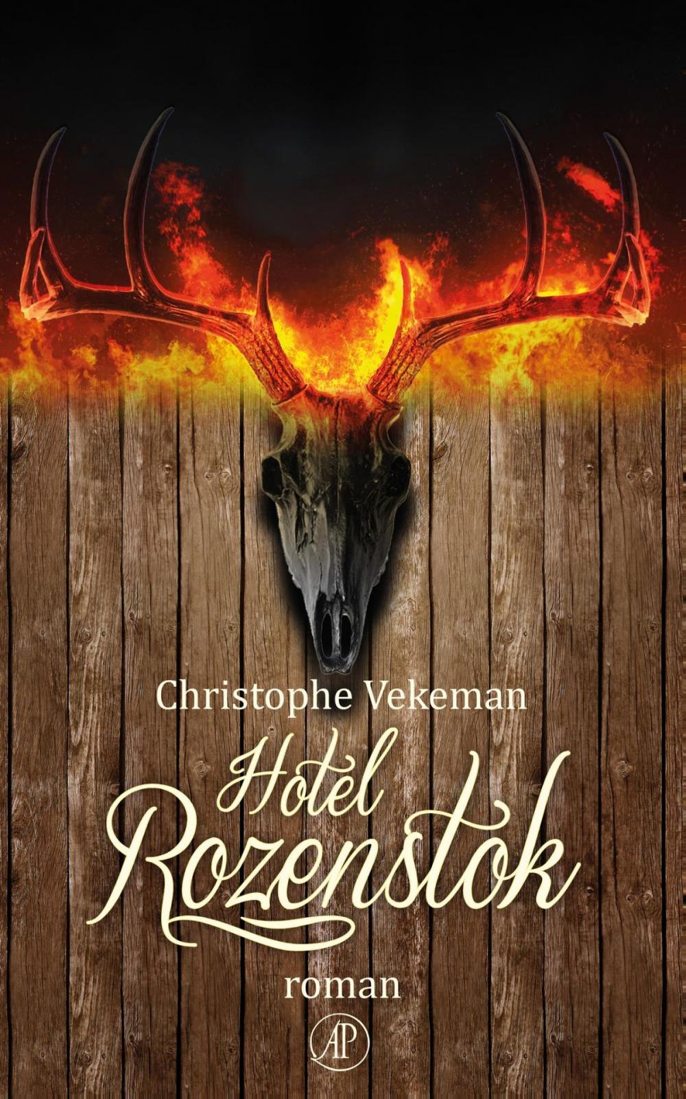 Big bigCover of Hotel Rozenstok