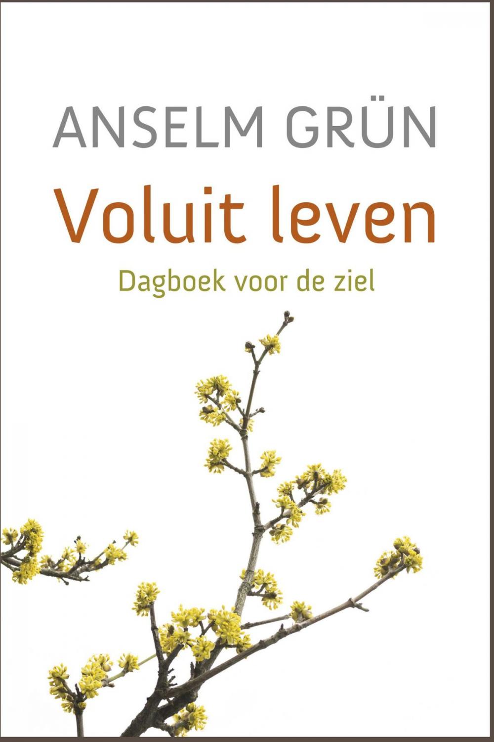 Big bigCover of Voluit leven