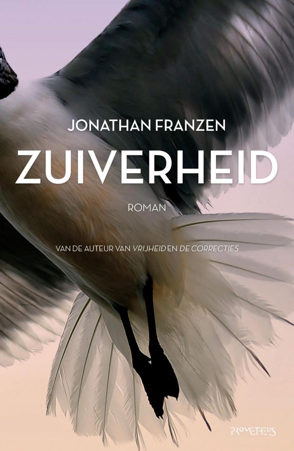 Big bigCover of Zuiverheid