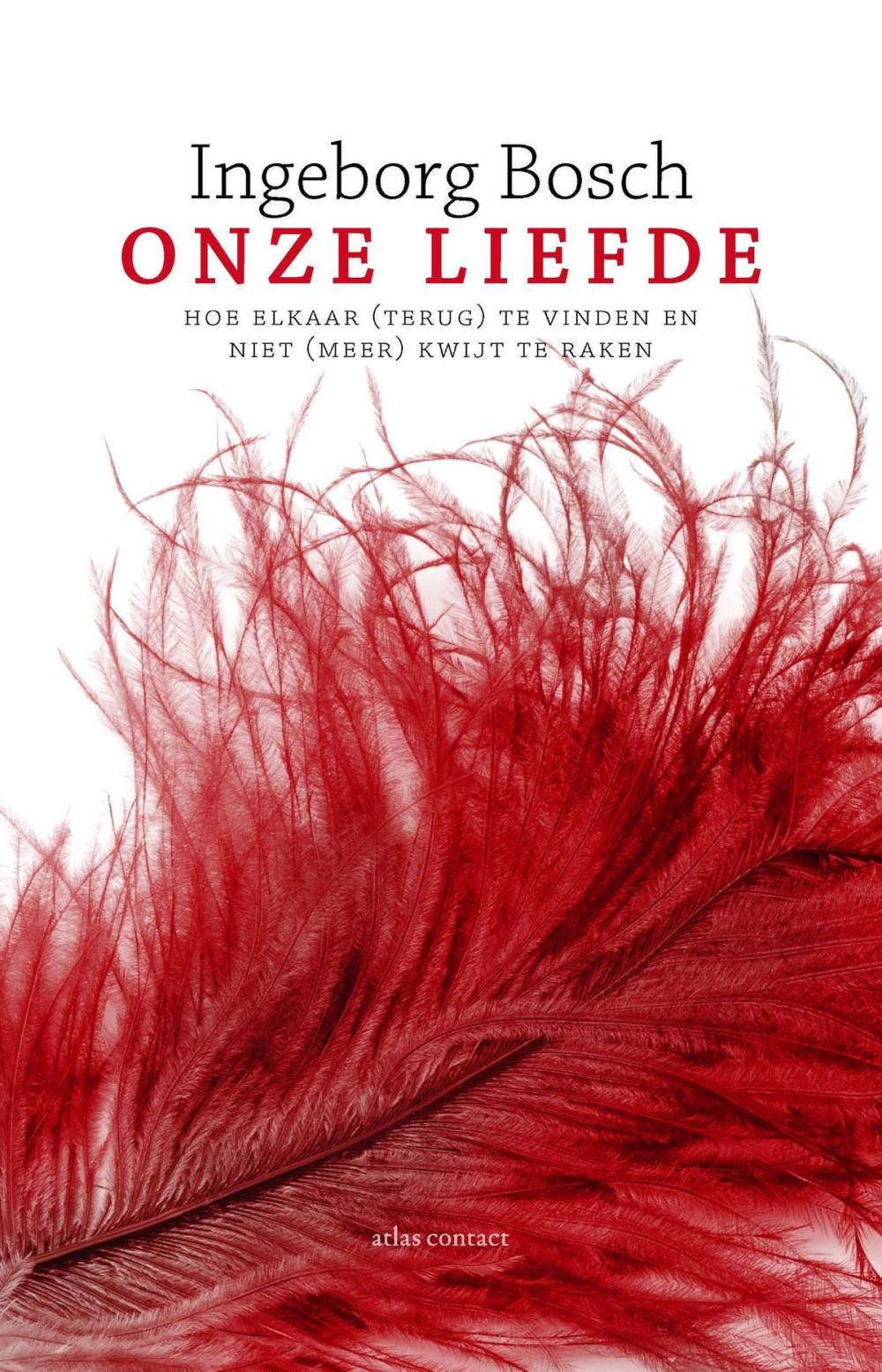 Big bigCover of Onze liefde