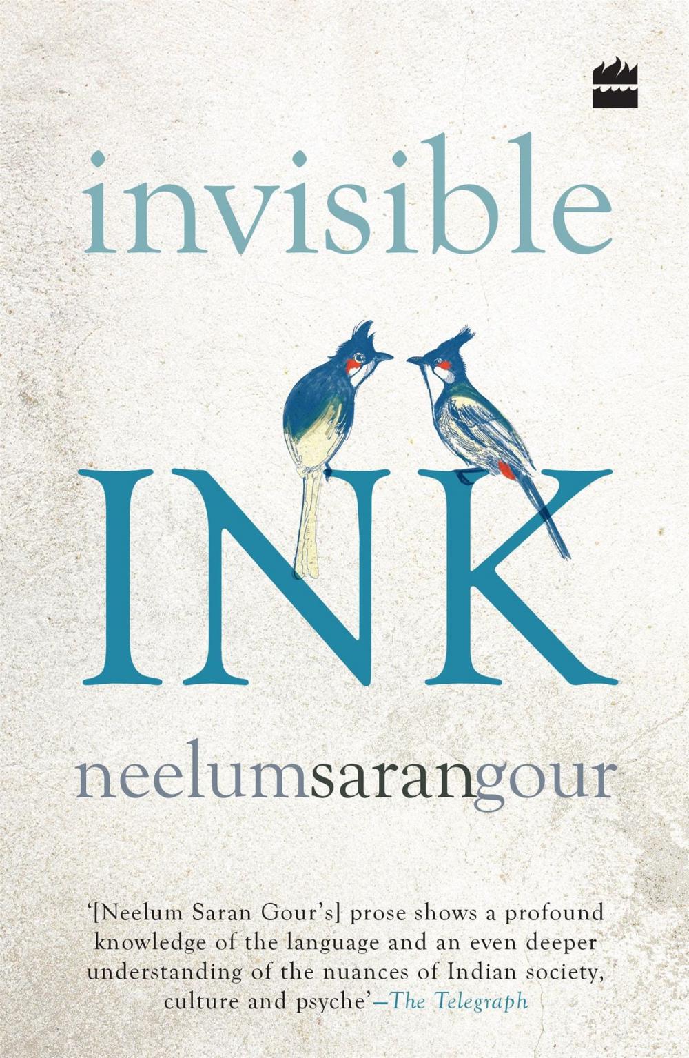 Big bigCover of Invisible Ink