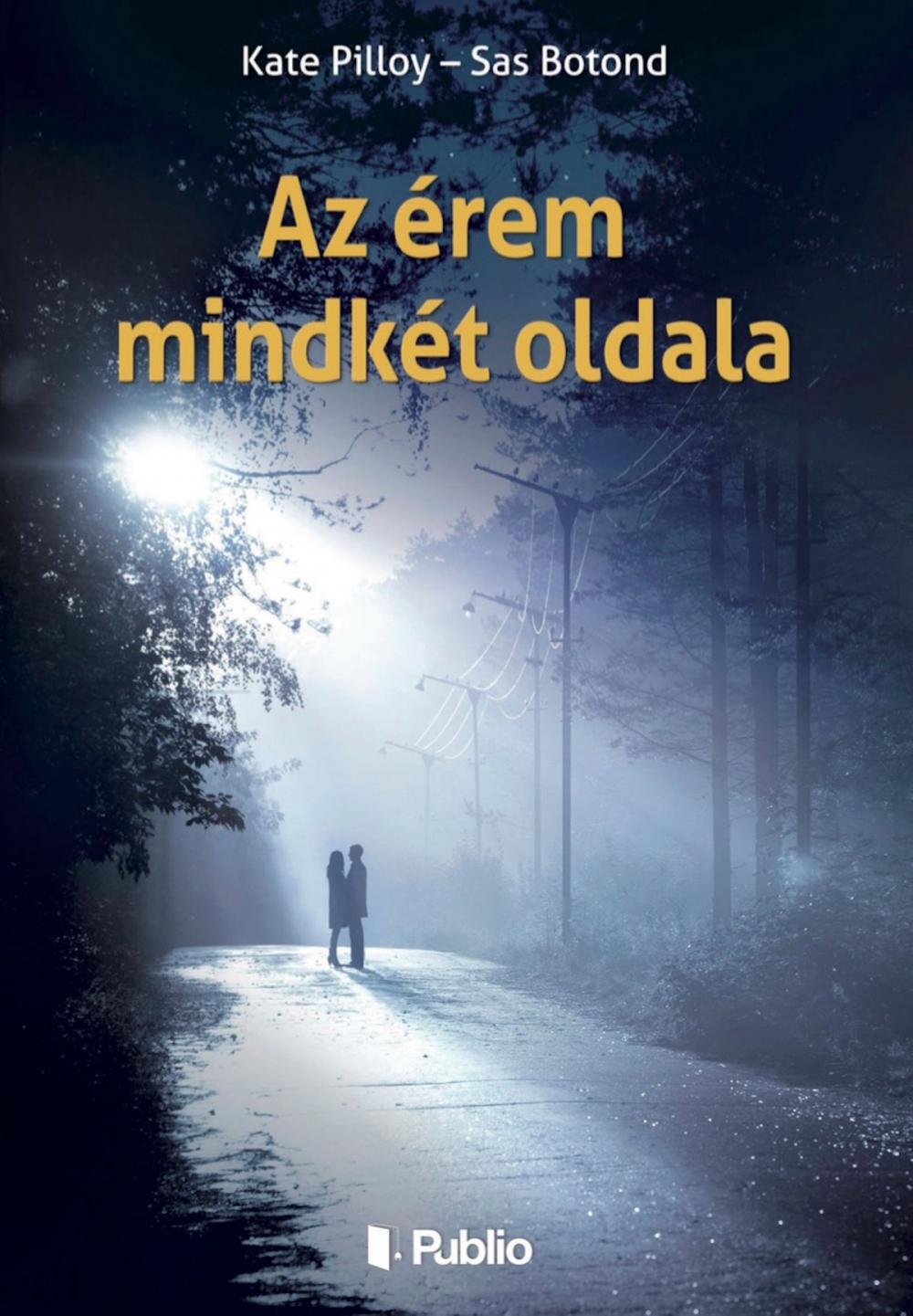 Big bigCover of Az érem mindkét oldala